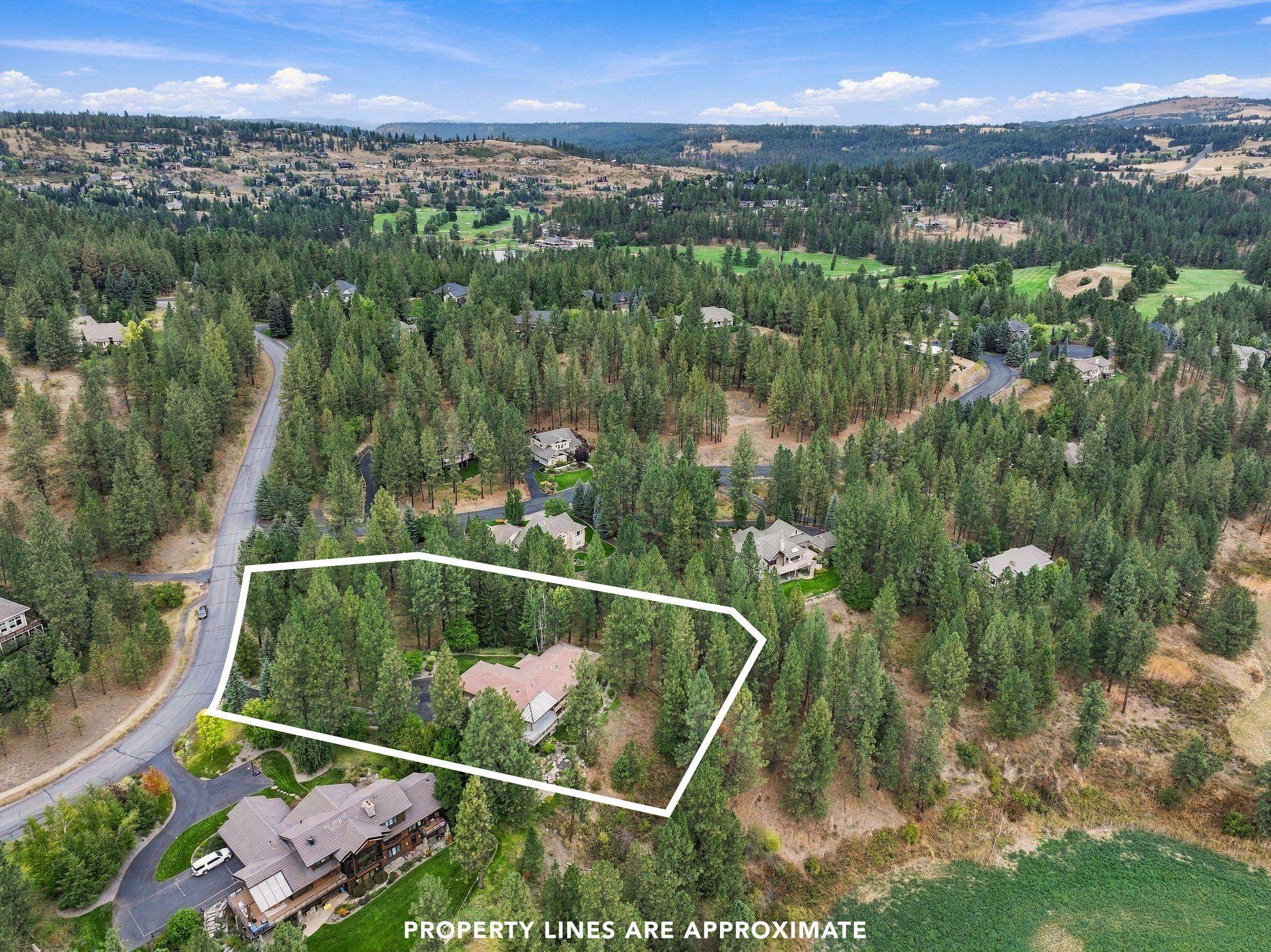 13307 S Bluegrouse Ln - Photo 48