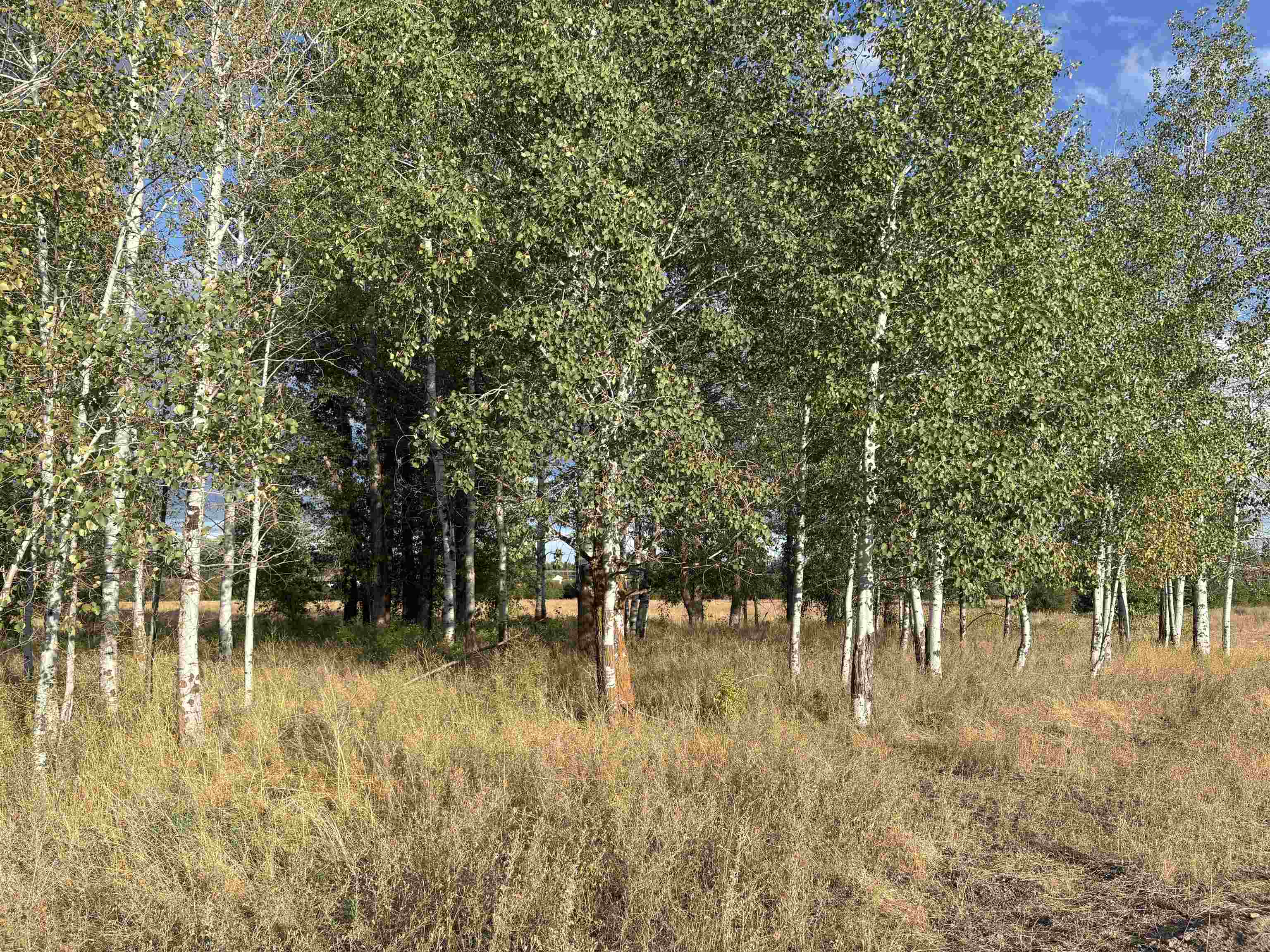 4871 W Enoch Rd - Photo 8