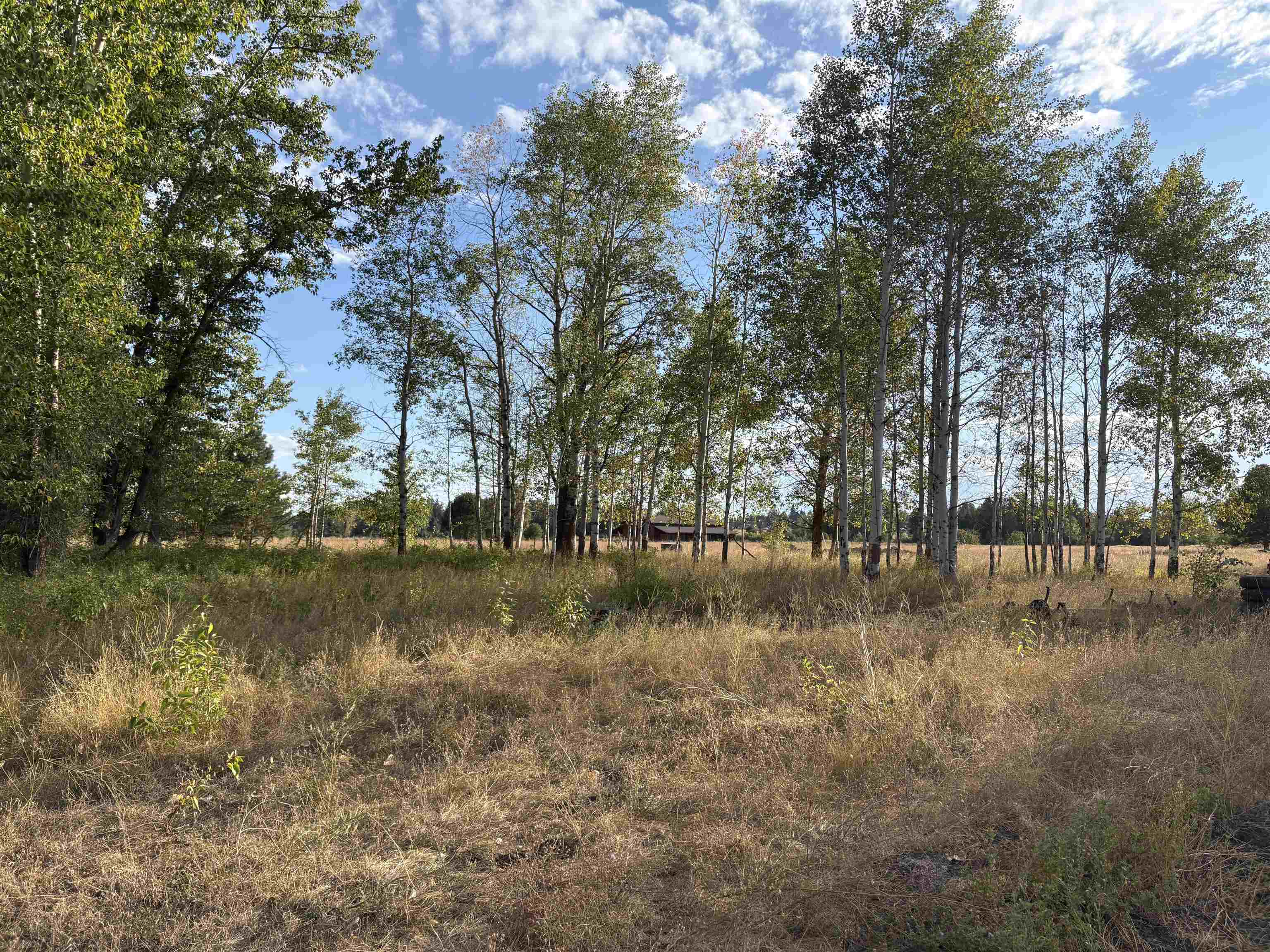 4871 W Enoch Rd - Photo 10
