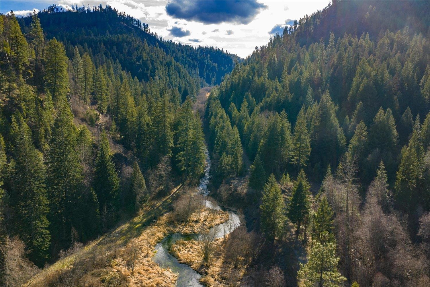 NKA Little Spokane River Rd - Photo 8