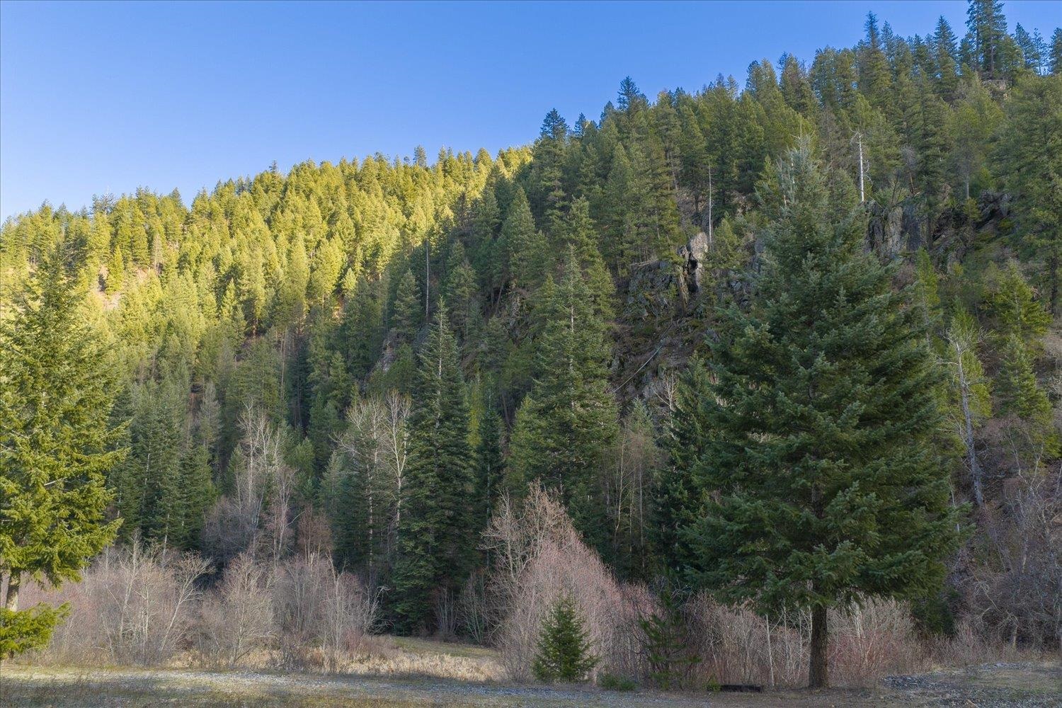 NKA Little Spokane River Rd - Photo 9