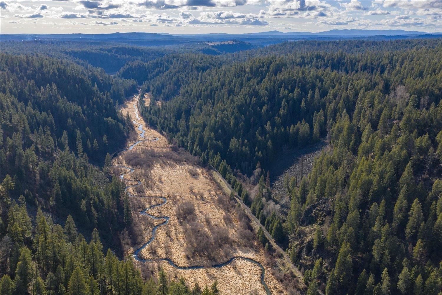 NKA Little Spokane River Rd - Photo 13