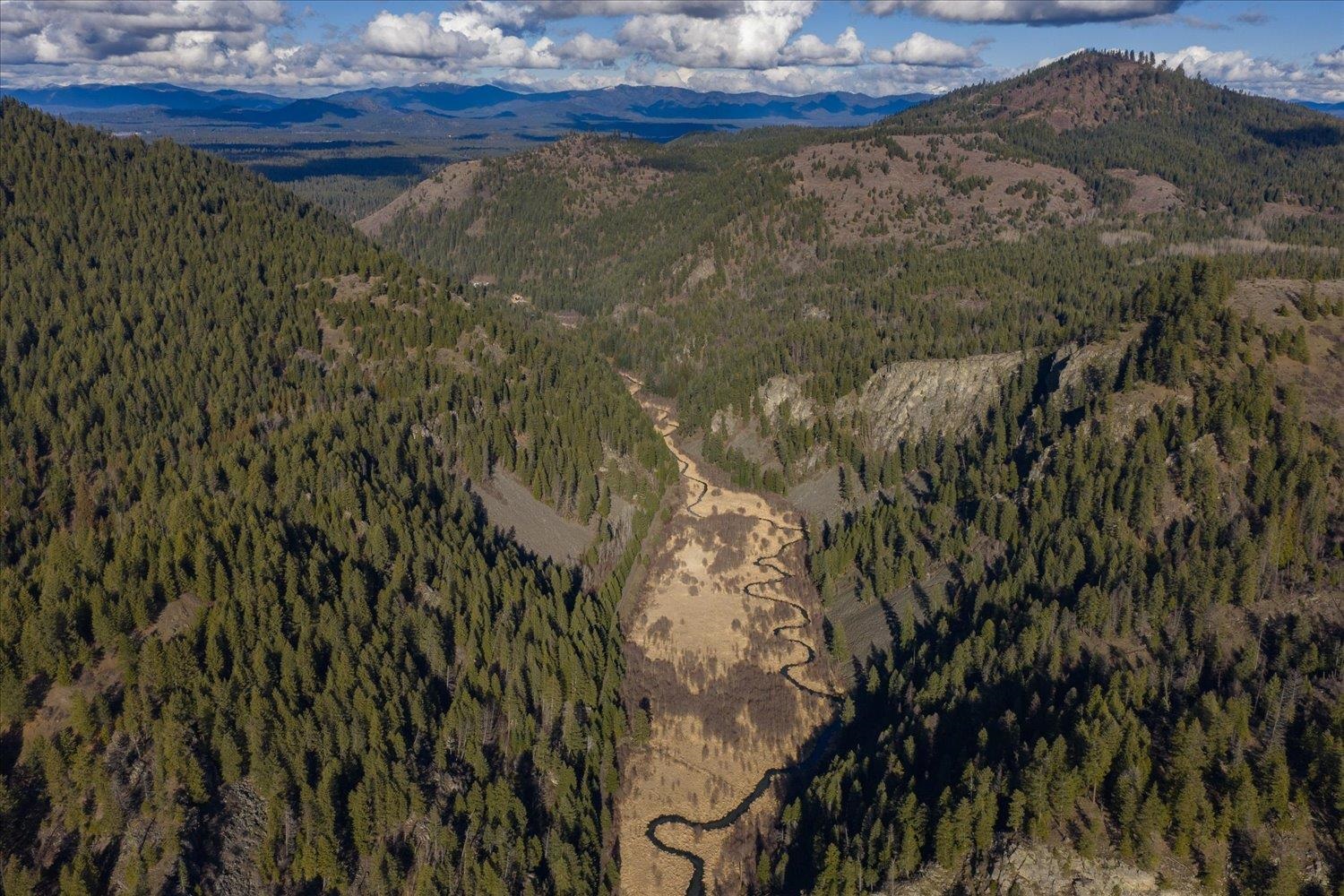 NKA Little Spokane River Rd - Photo 14