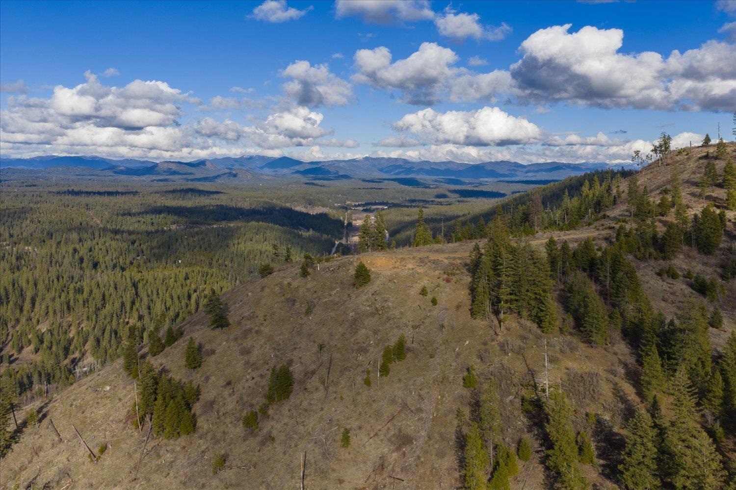 NKA Little Spokane River Rd - Photo 19