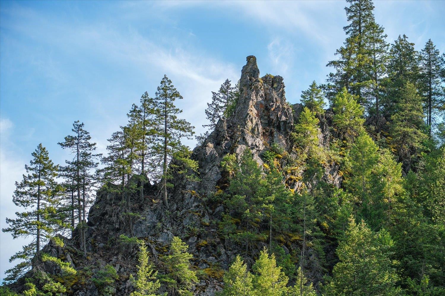 NKA Little Spokane River Rd - Photo 20