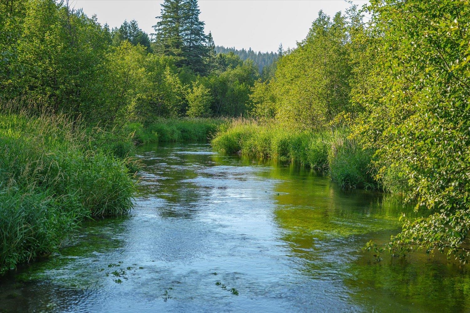 NKA Little Spokane River Rd - Photo 1