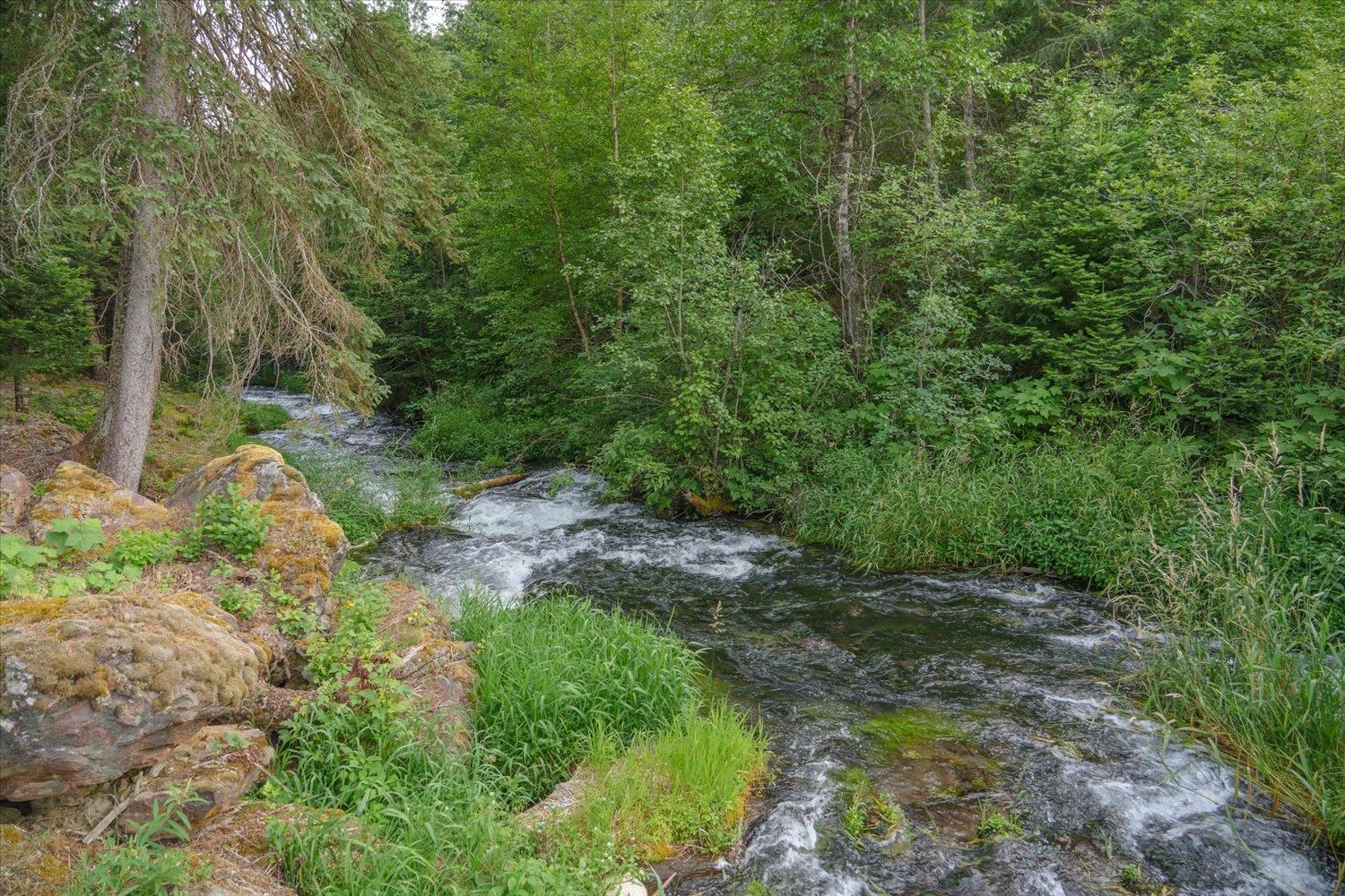 NKA Little Spokane River Rd - Photo 2