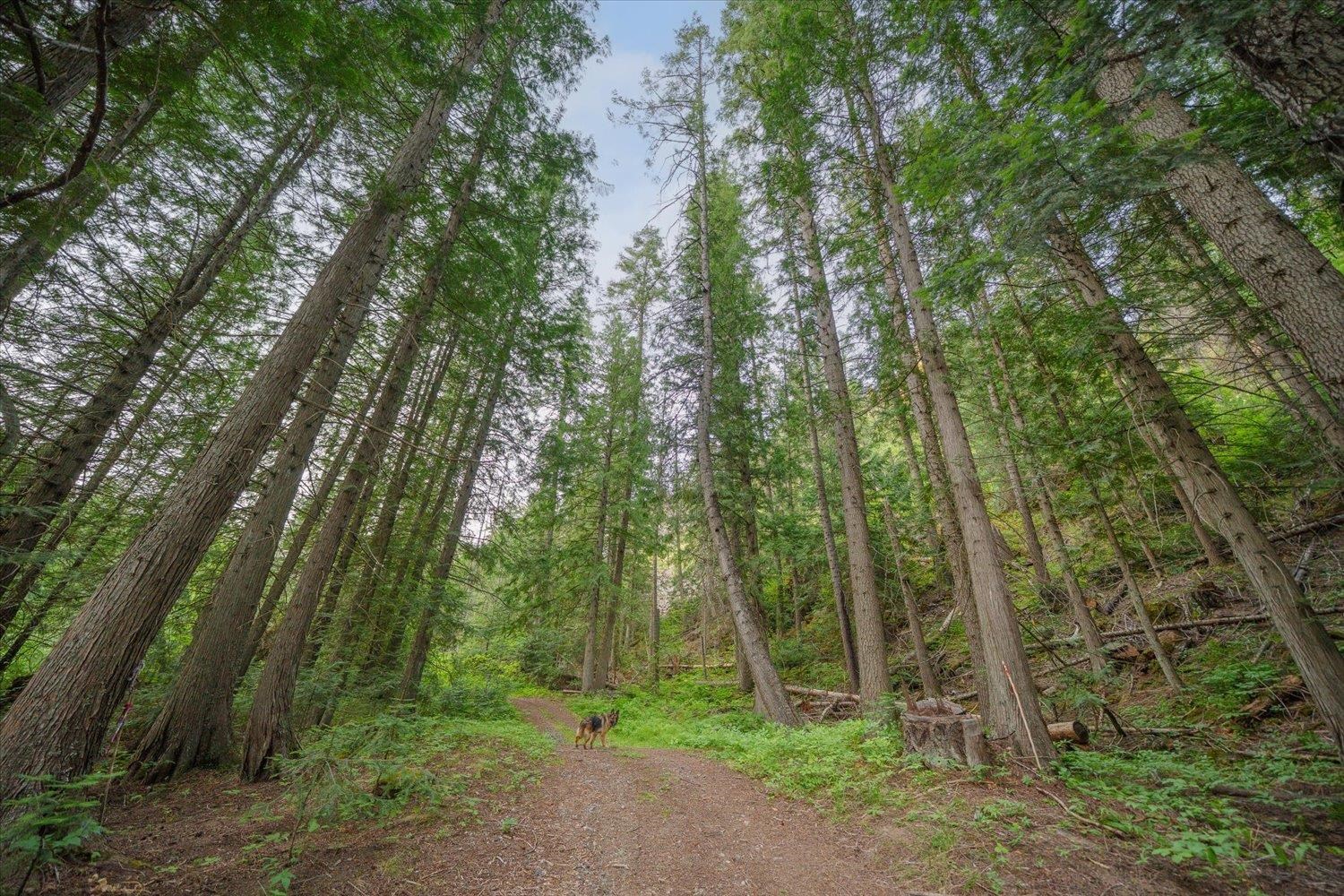 NKA Little Spokane River Rd - Photo 21