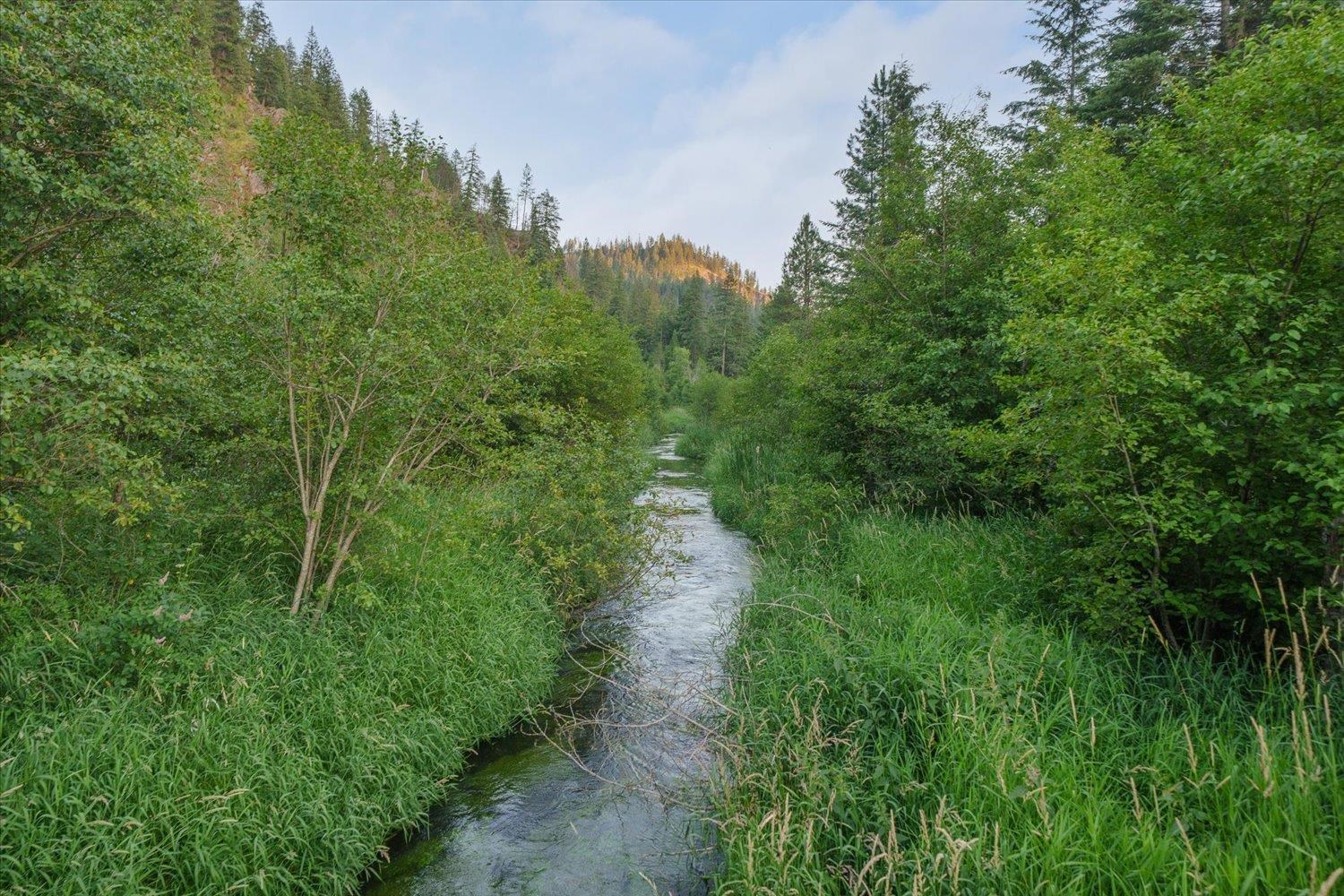 NKA Little Spokane River Rd - Photo 22