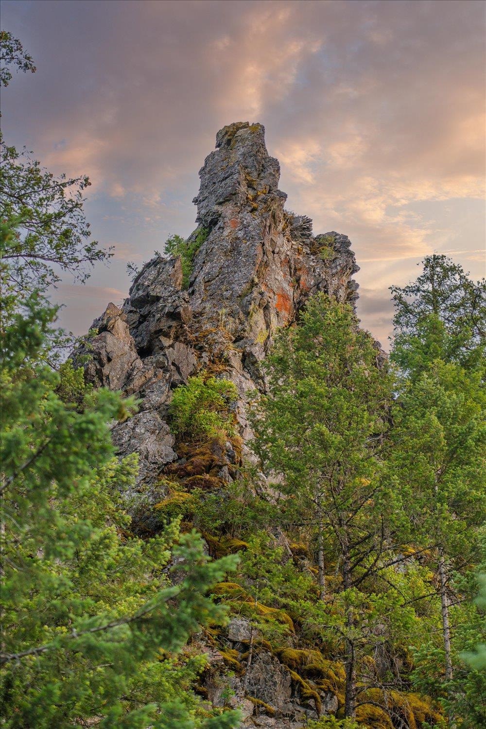 NKA Little Spokane River Rd - Photo 23