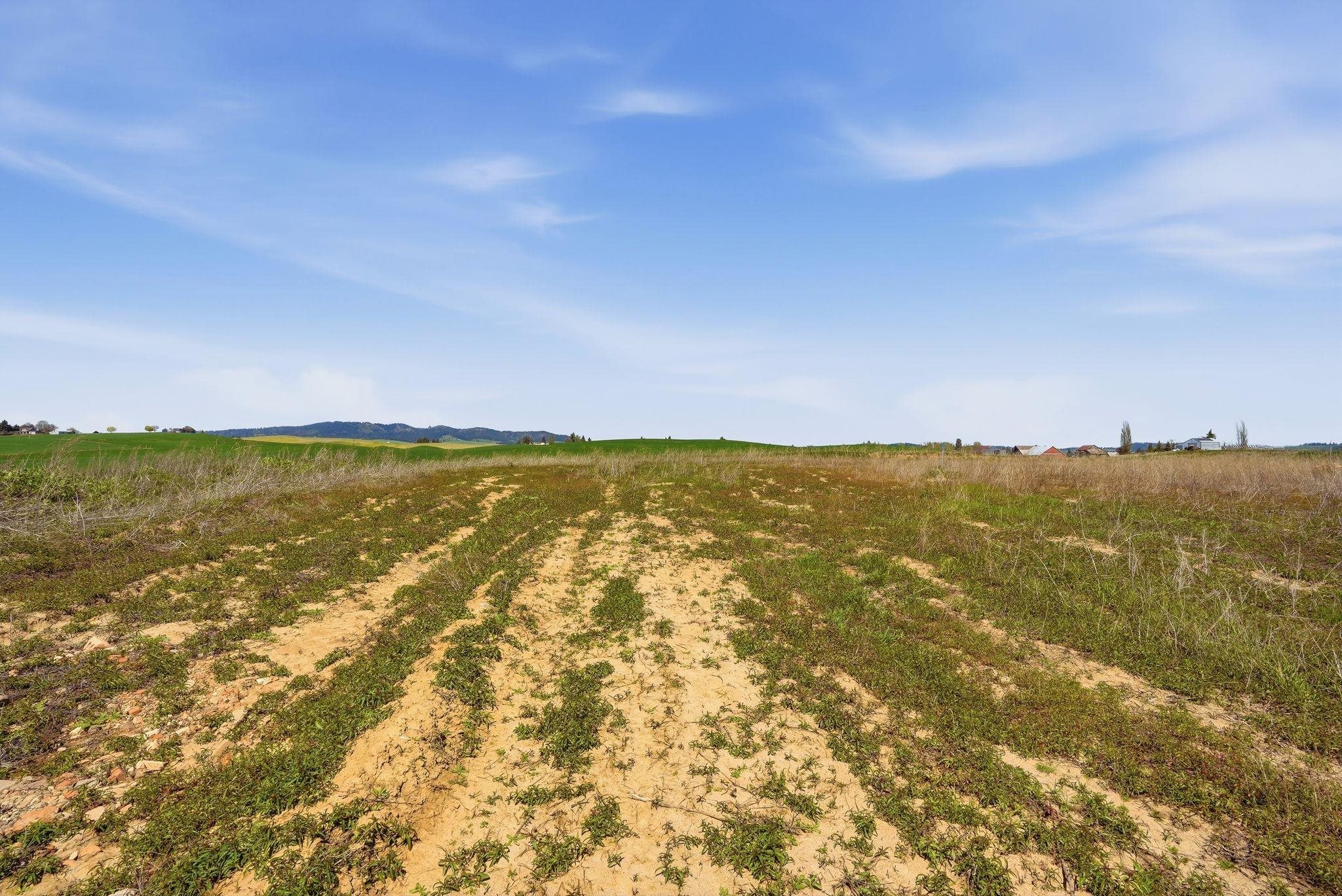 11879 E Elder Rd - Photo 10