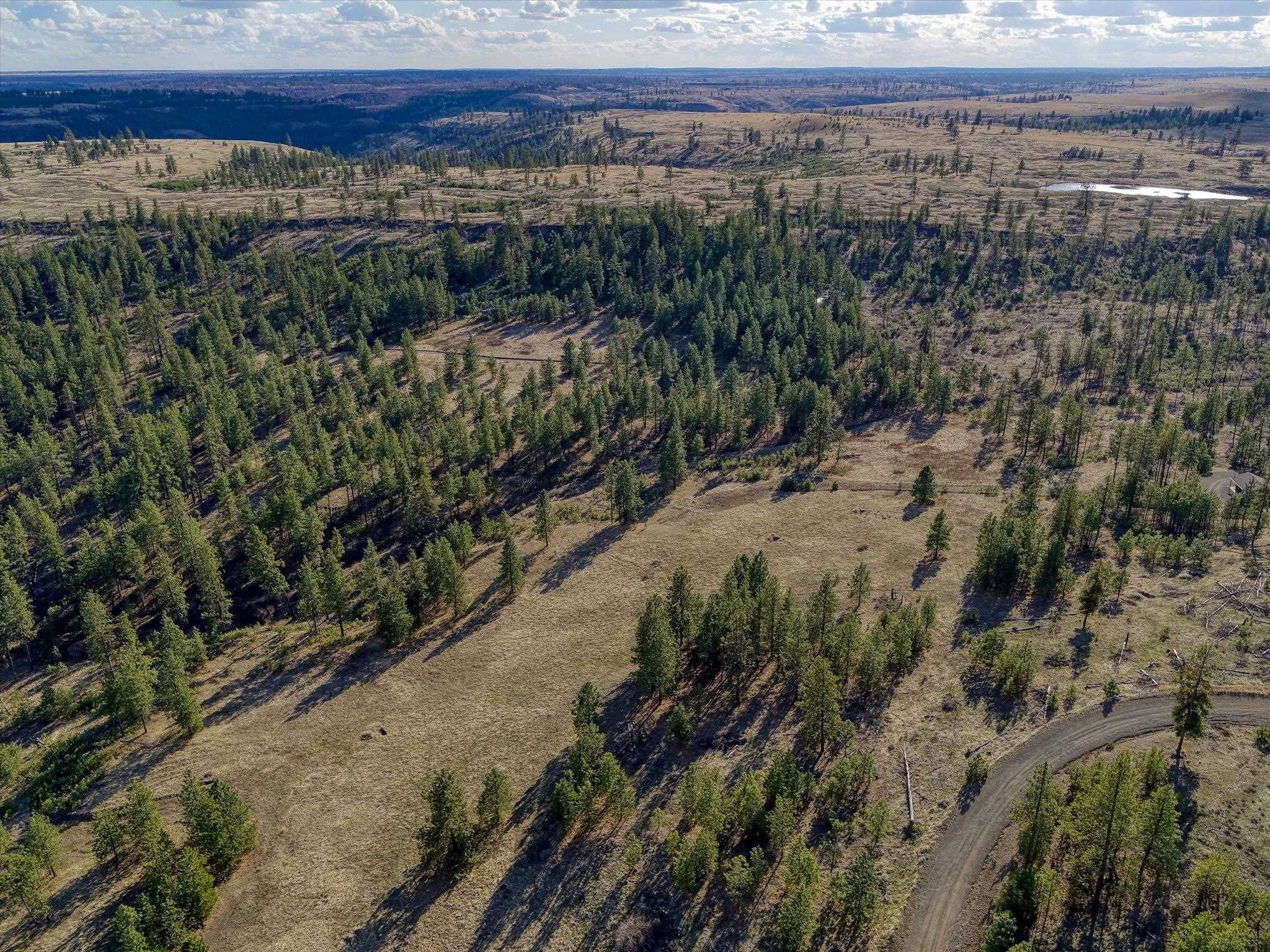 31008 Meadow Ln - Photo 8