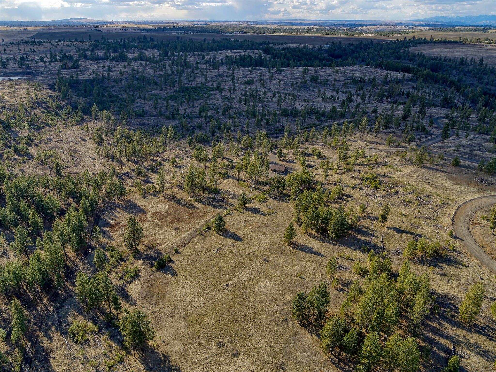 31008 Meadow Ln - Photo 9