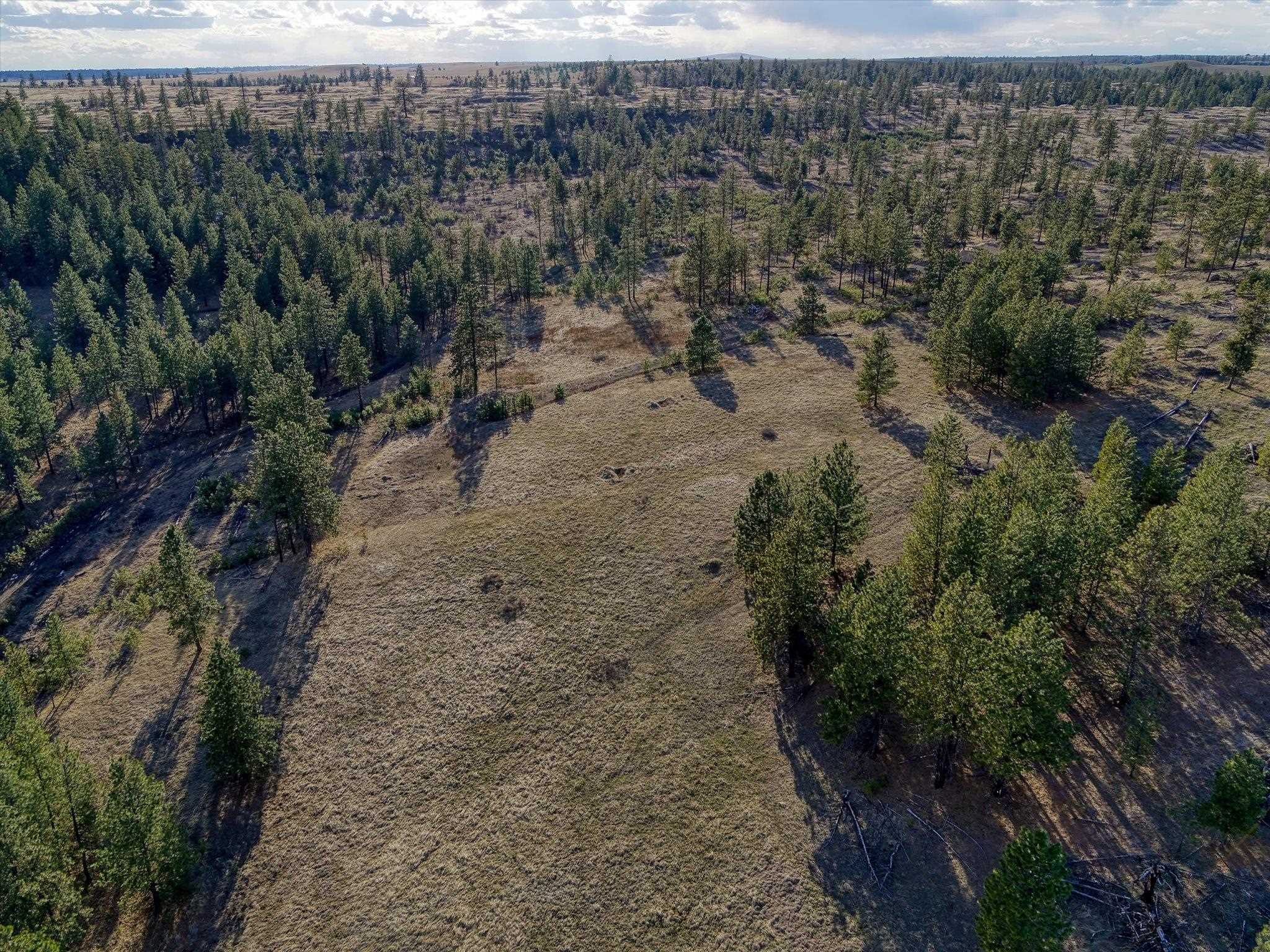31008 Meadow Ln - Photo 25
