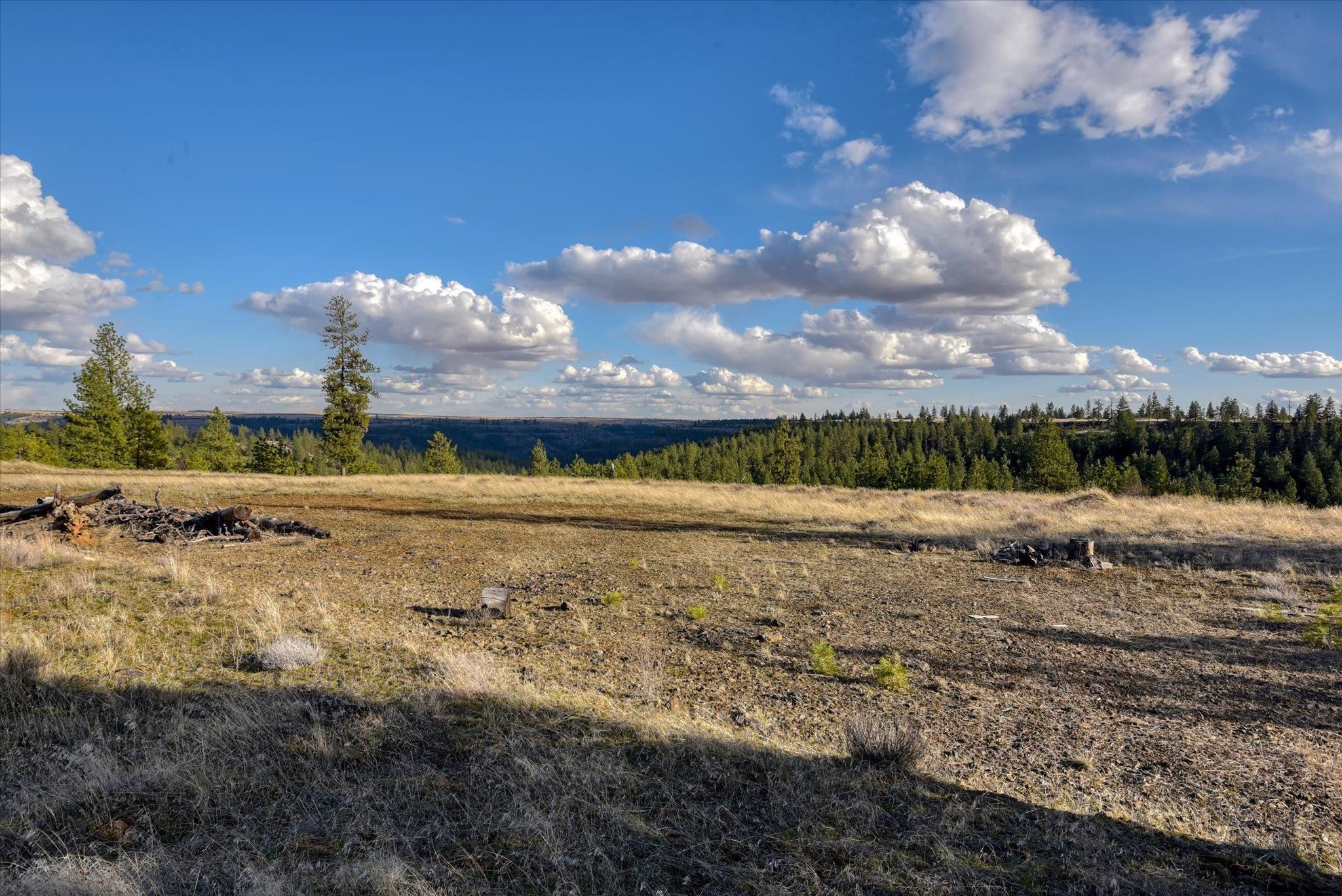 31008 Meadow Ln - Photo 34