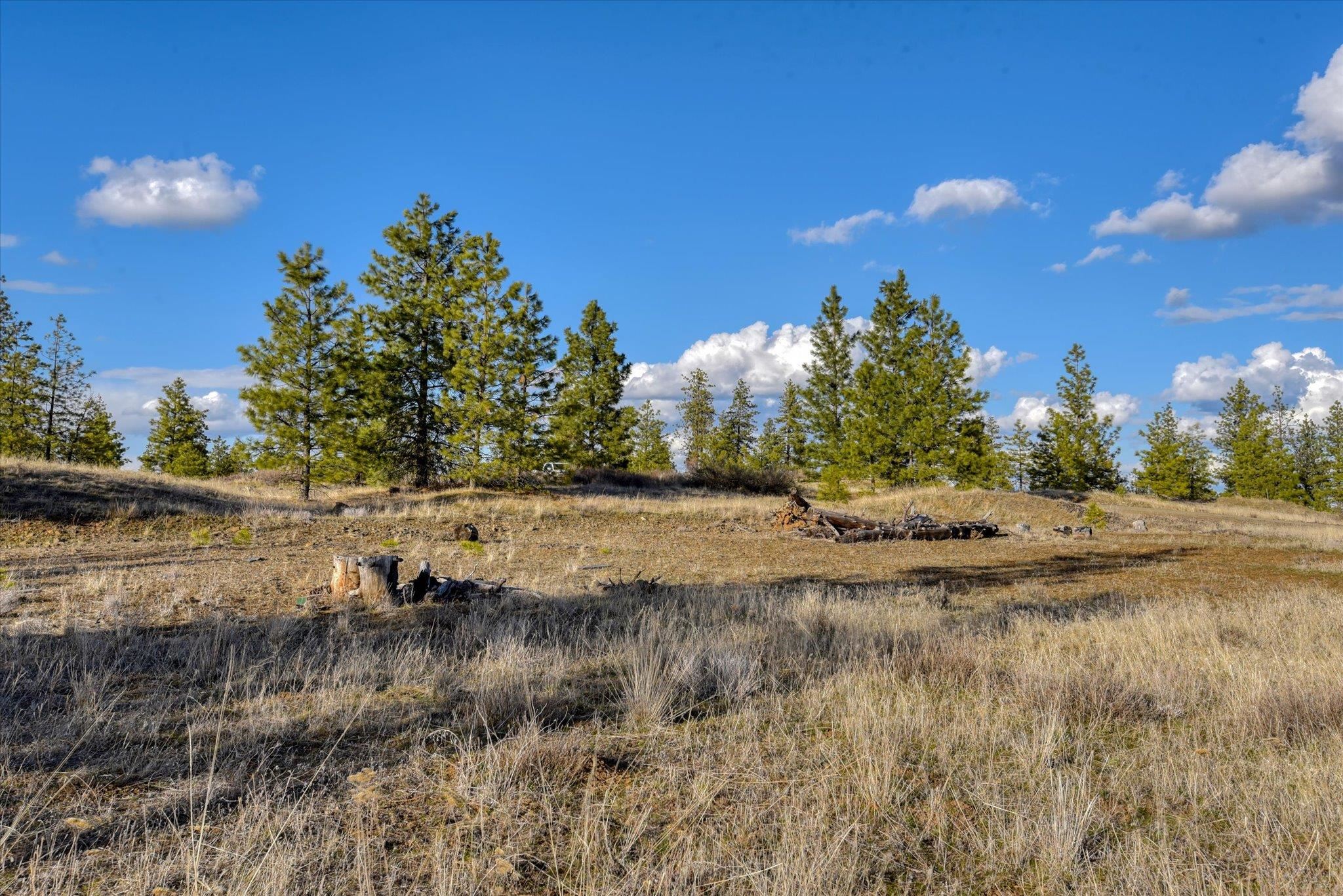 31008 Meadow Ln - Photo 35