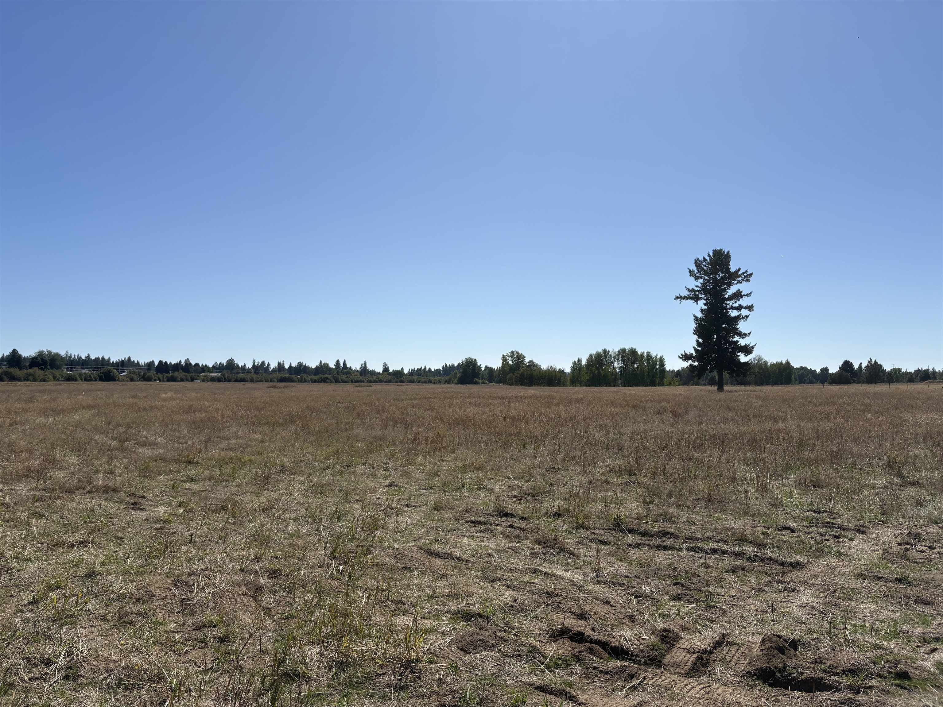 4851 W Enoch Rd - Photo 11