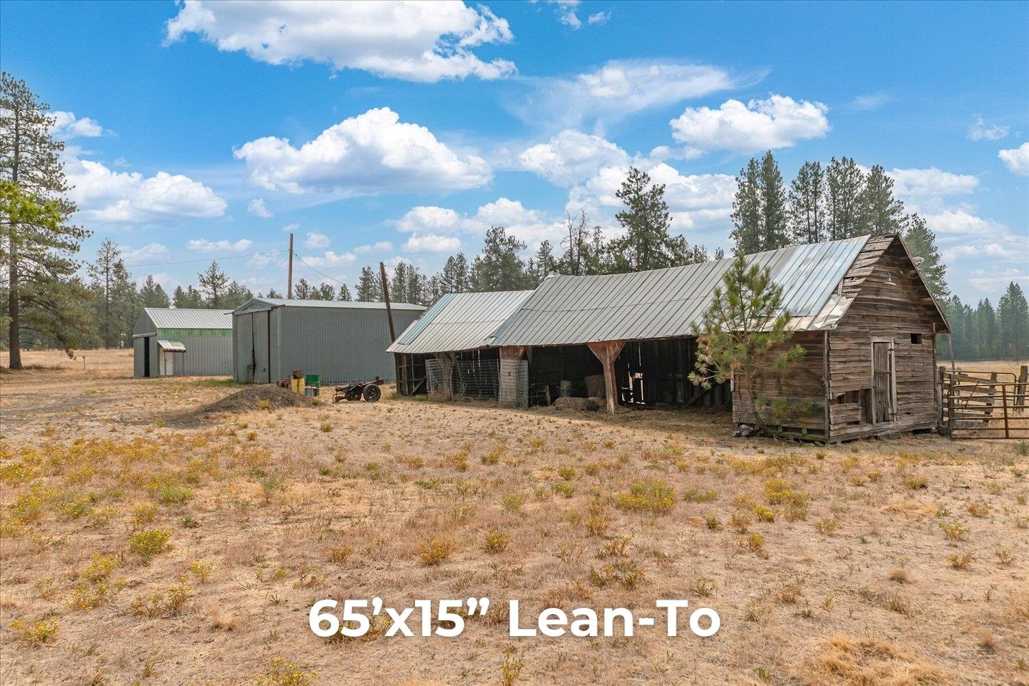 29105 S Cheney-Plaza Rd - Photo 46