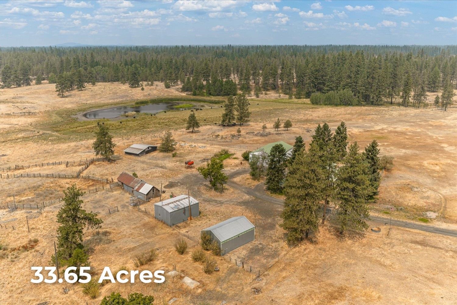 29105 S Cheney-Plaza Rd - Photo 49