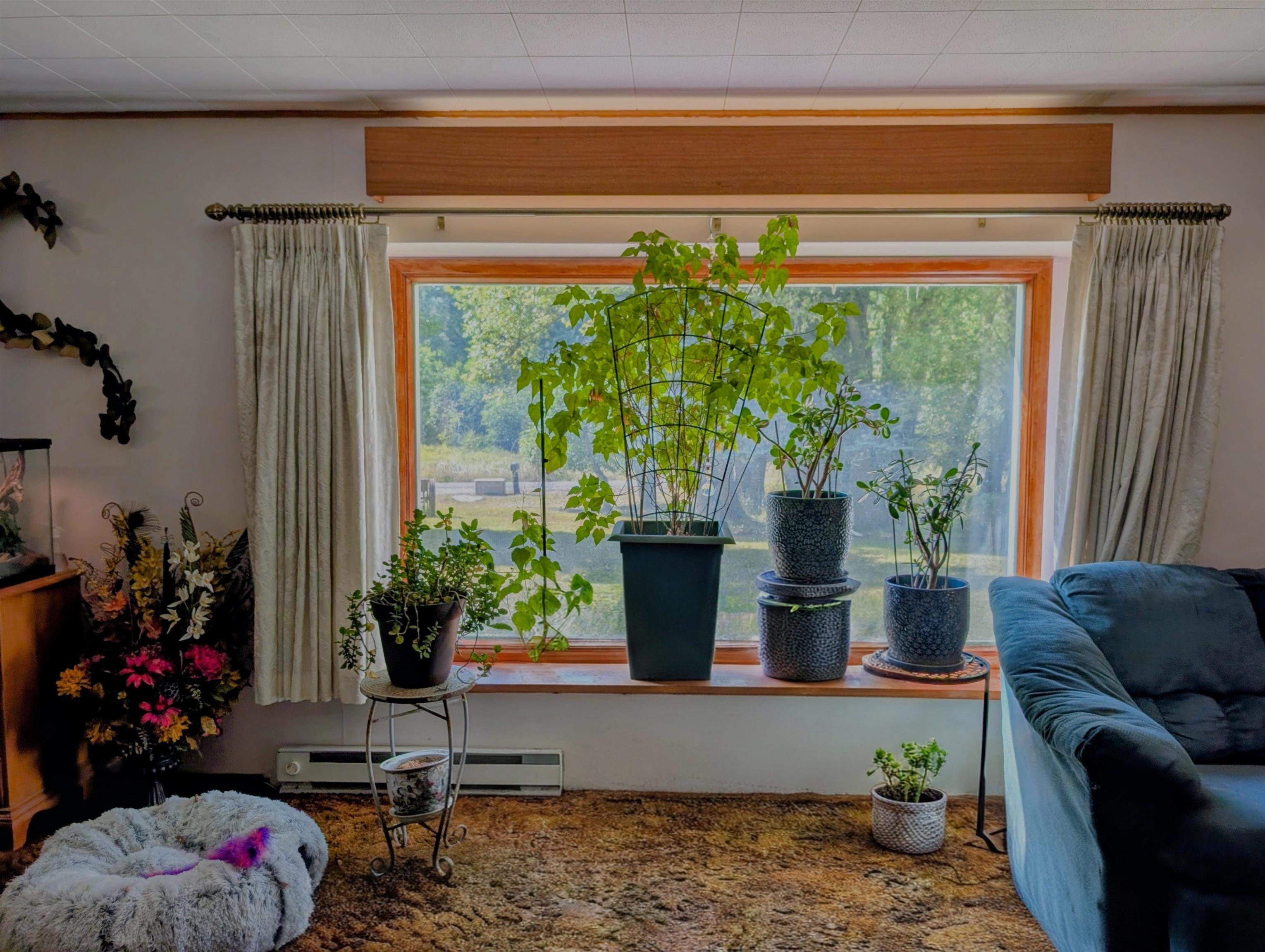 4439 Whittier Rd - Photo 12