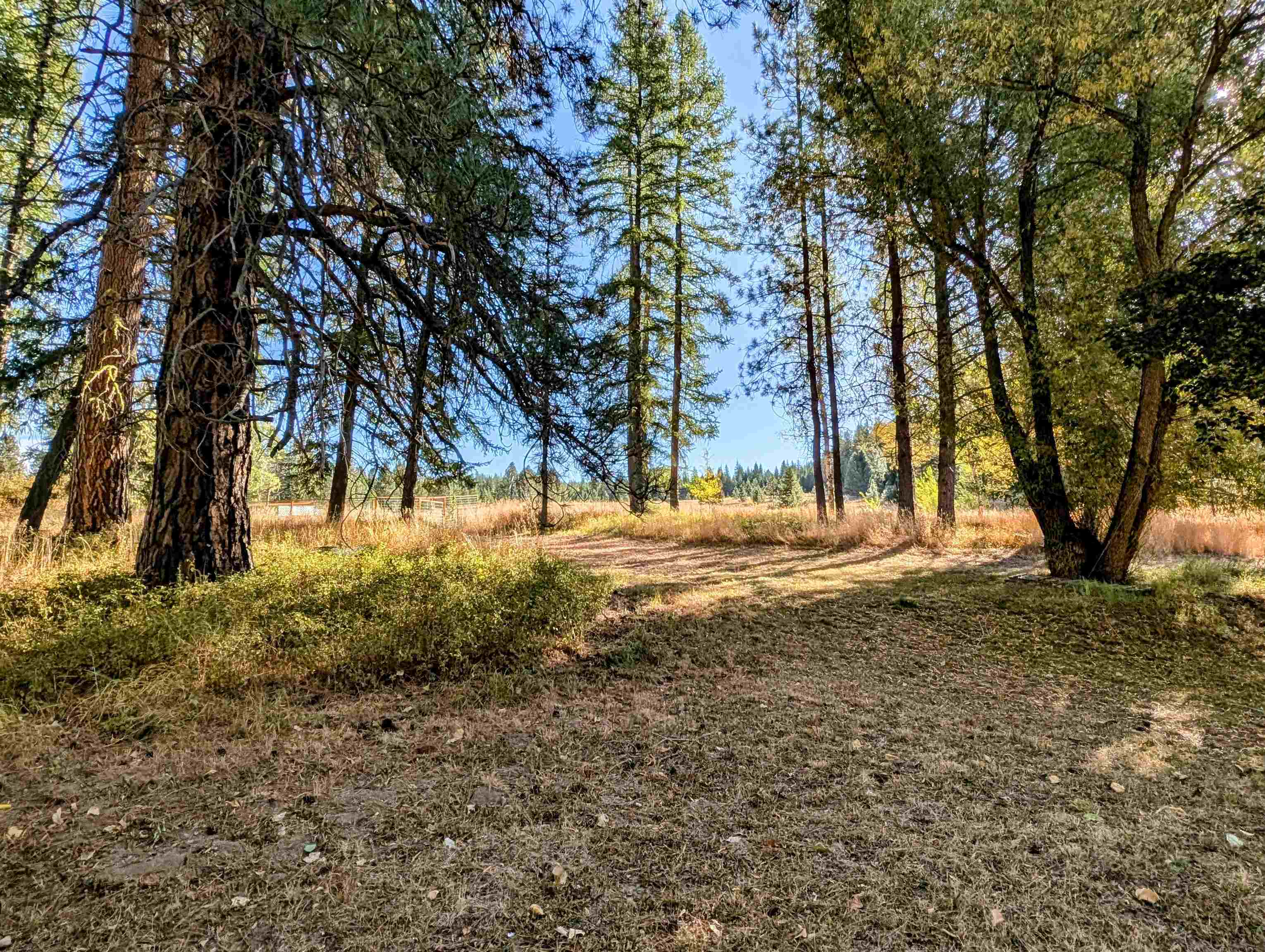 4439 Whittier Rd - Photo 36