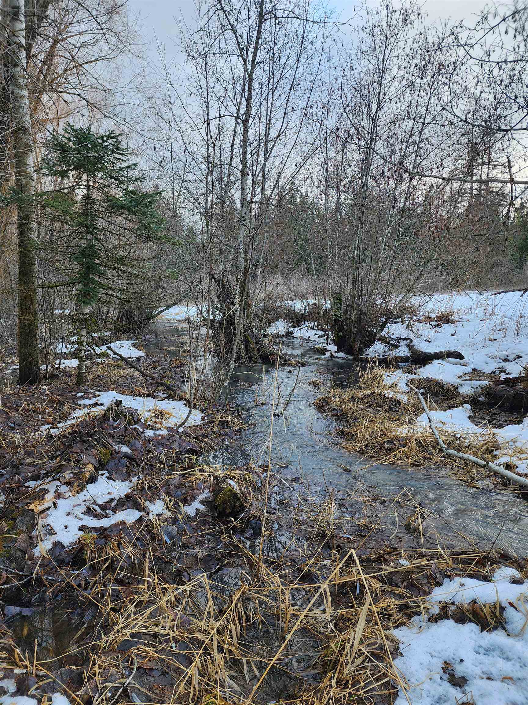 4439 Whittier Rd - Photo 42