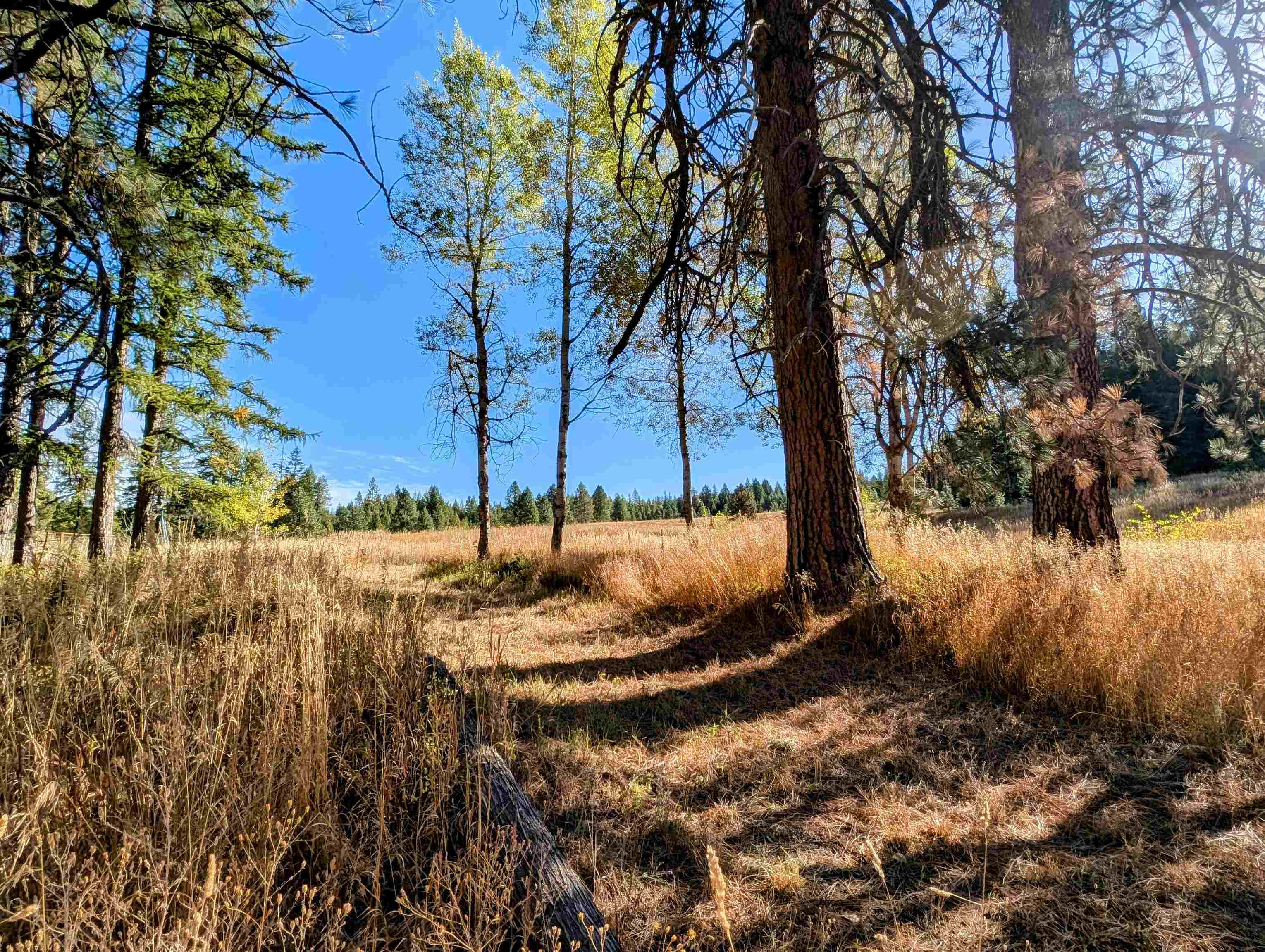 4439 Whittier Rd - Photo 43