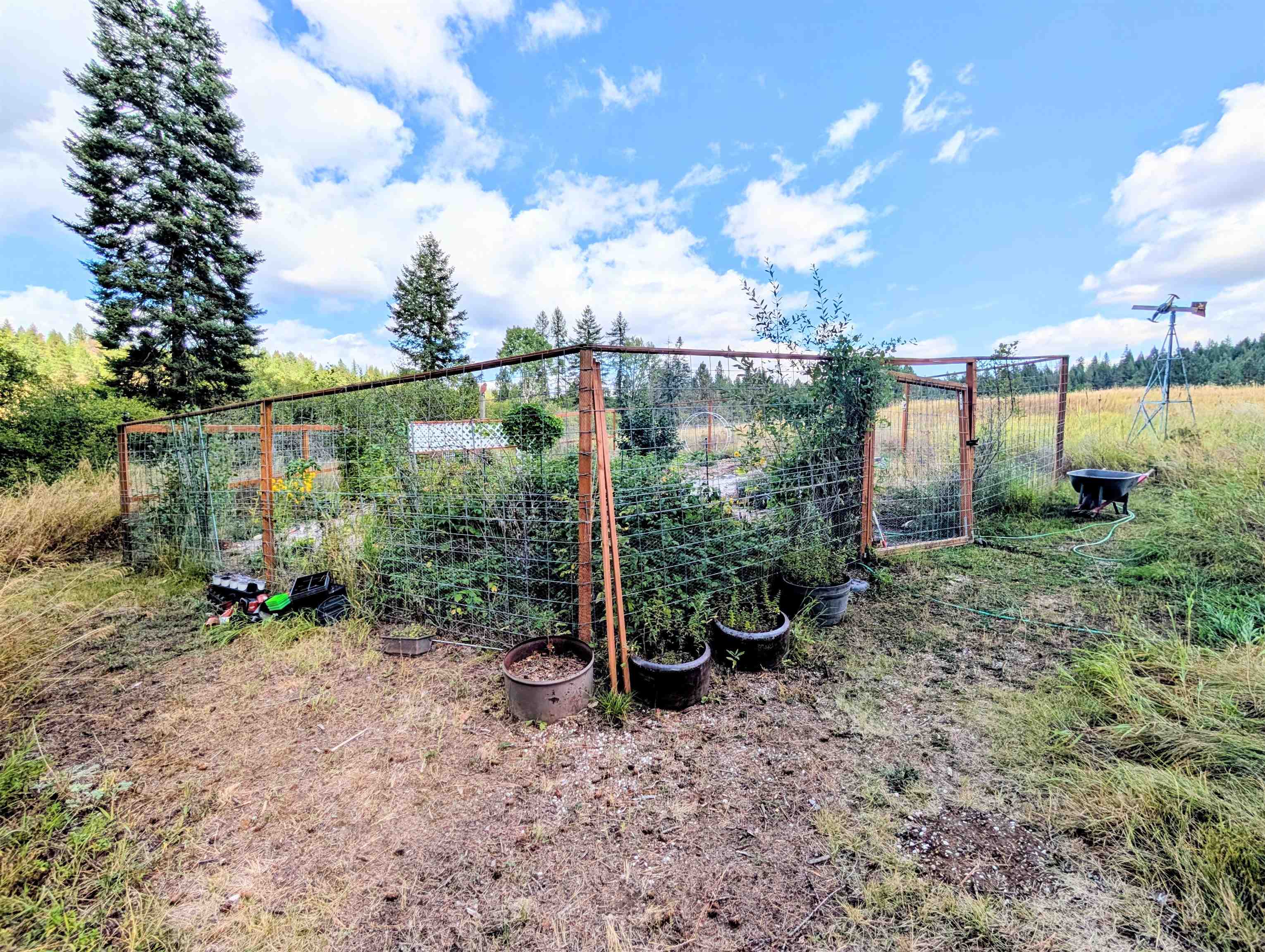 4439 Whittier Rd - Photo 44