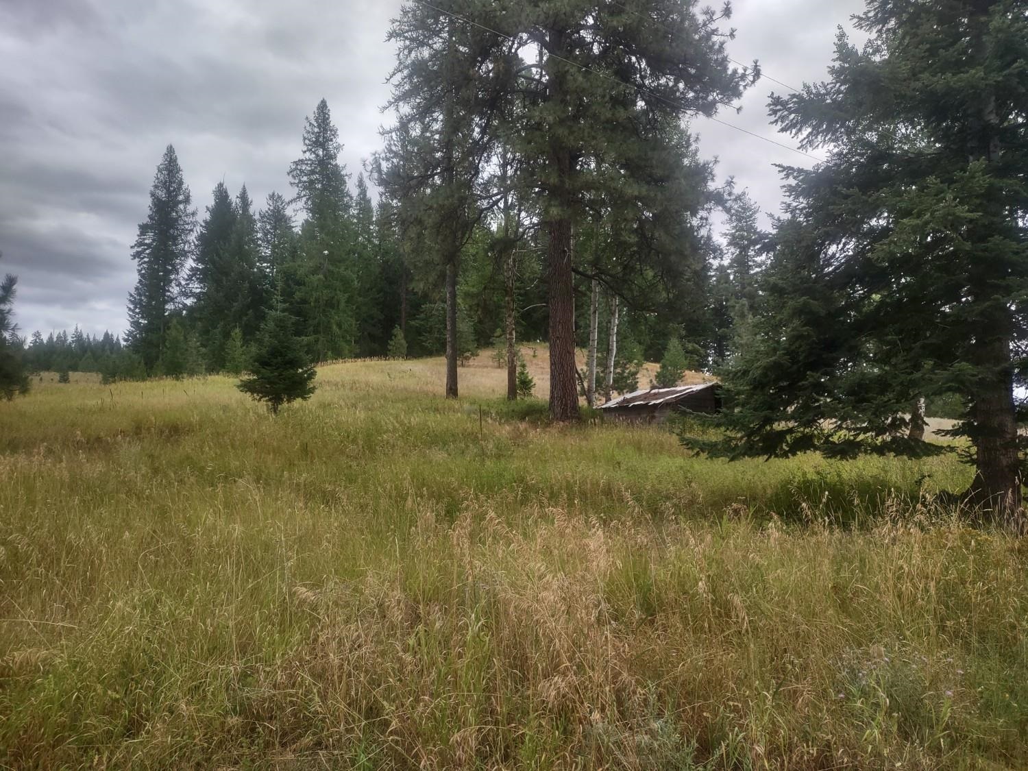 4439 Whittier Rd - Photo 46