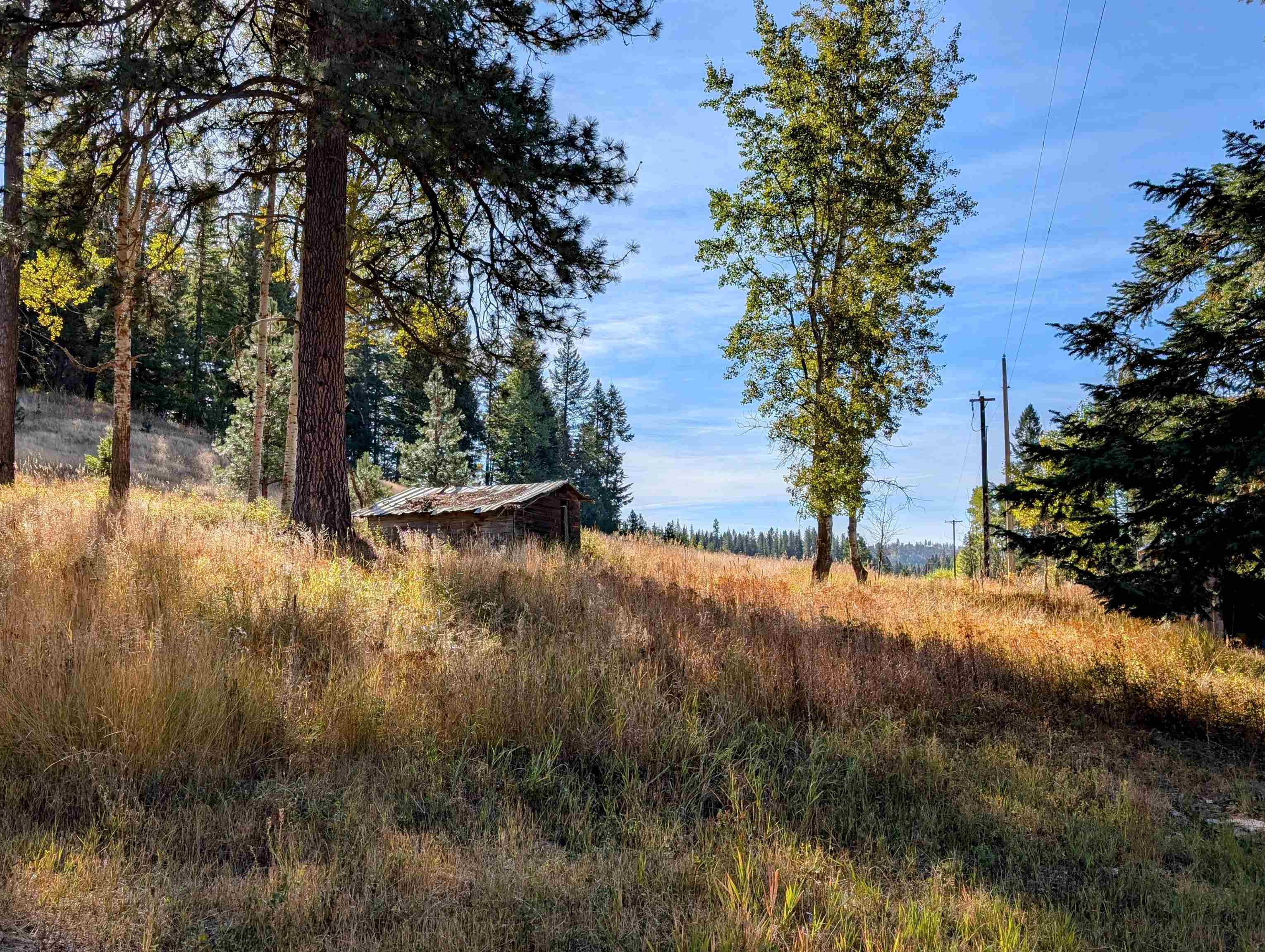 4439 Whittier Rd - Photo 47