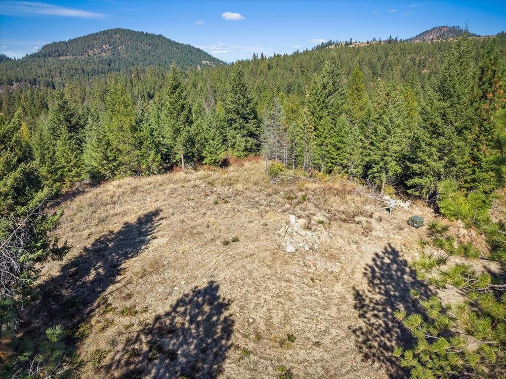 10313 Spring Valley Rd - Photo 6