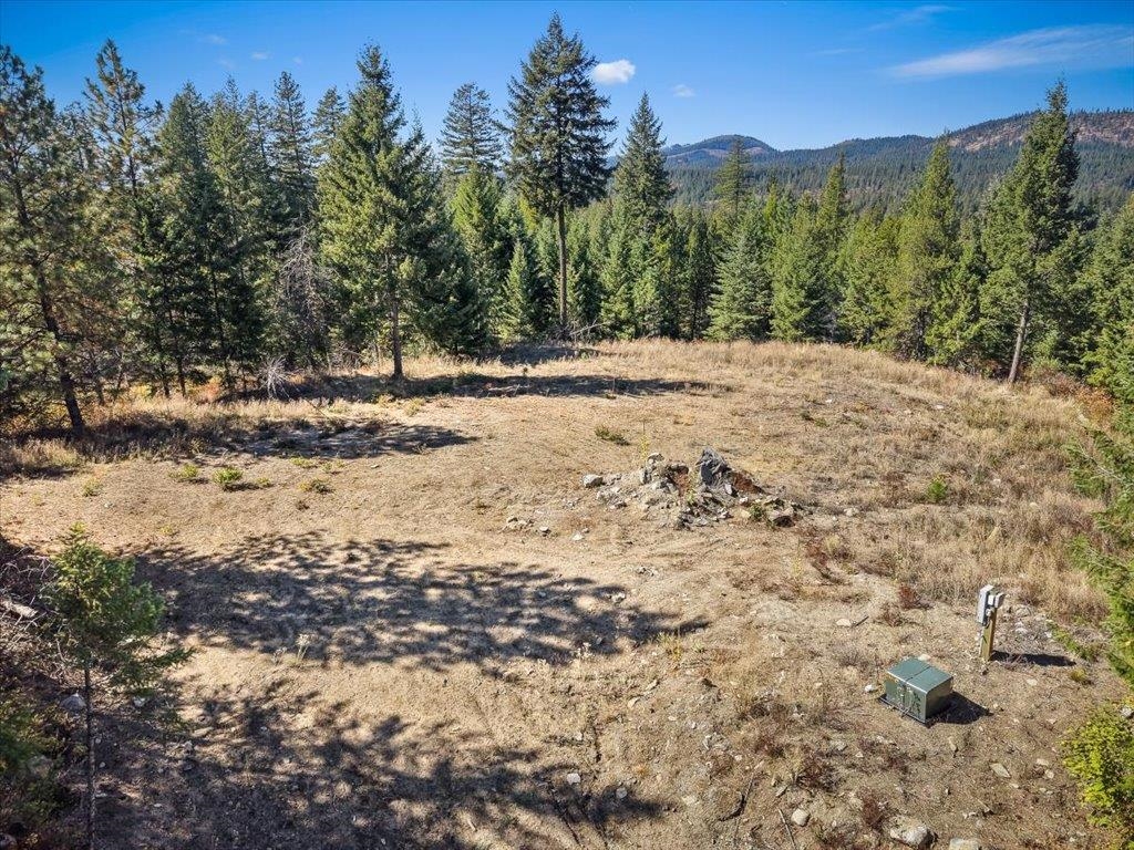 10313 Spring Valley Rd - Photo 8