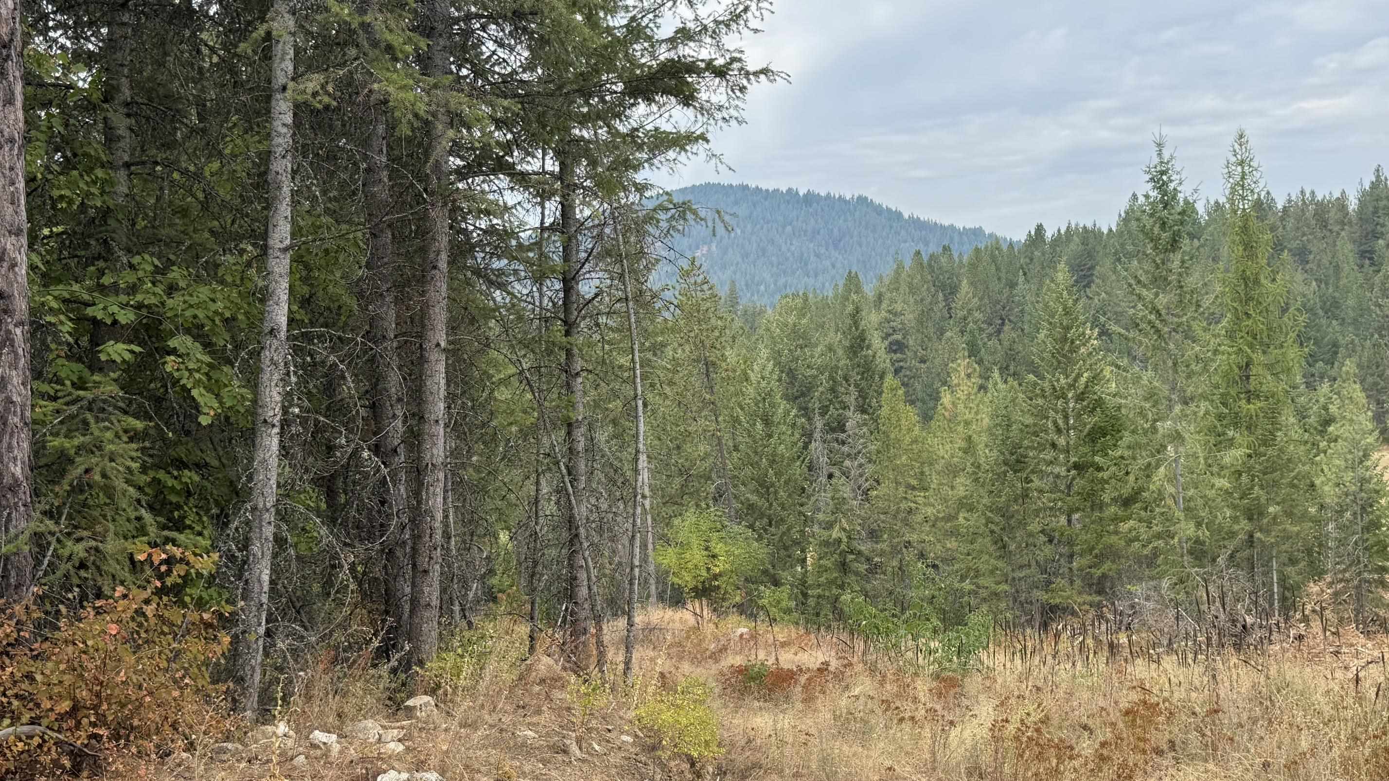 10313 Spring Valley Rd - Photo 10