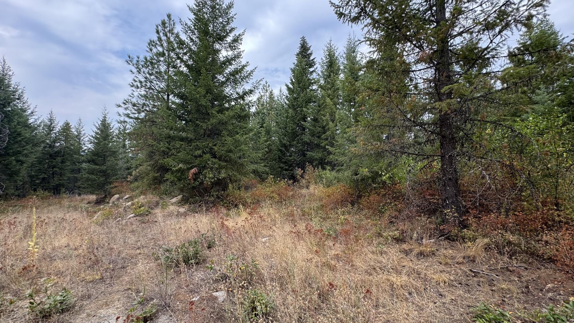 10313 Spring Valley Rd - Photo 24
