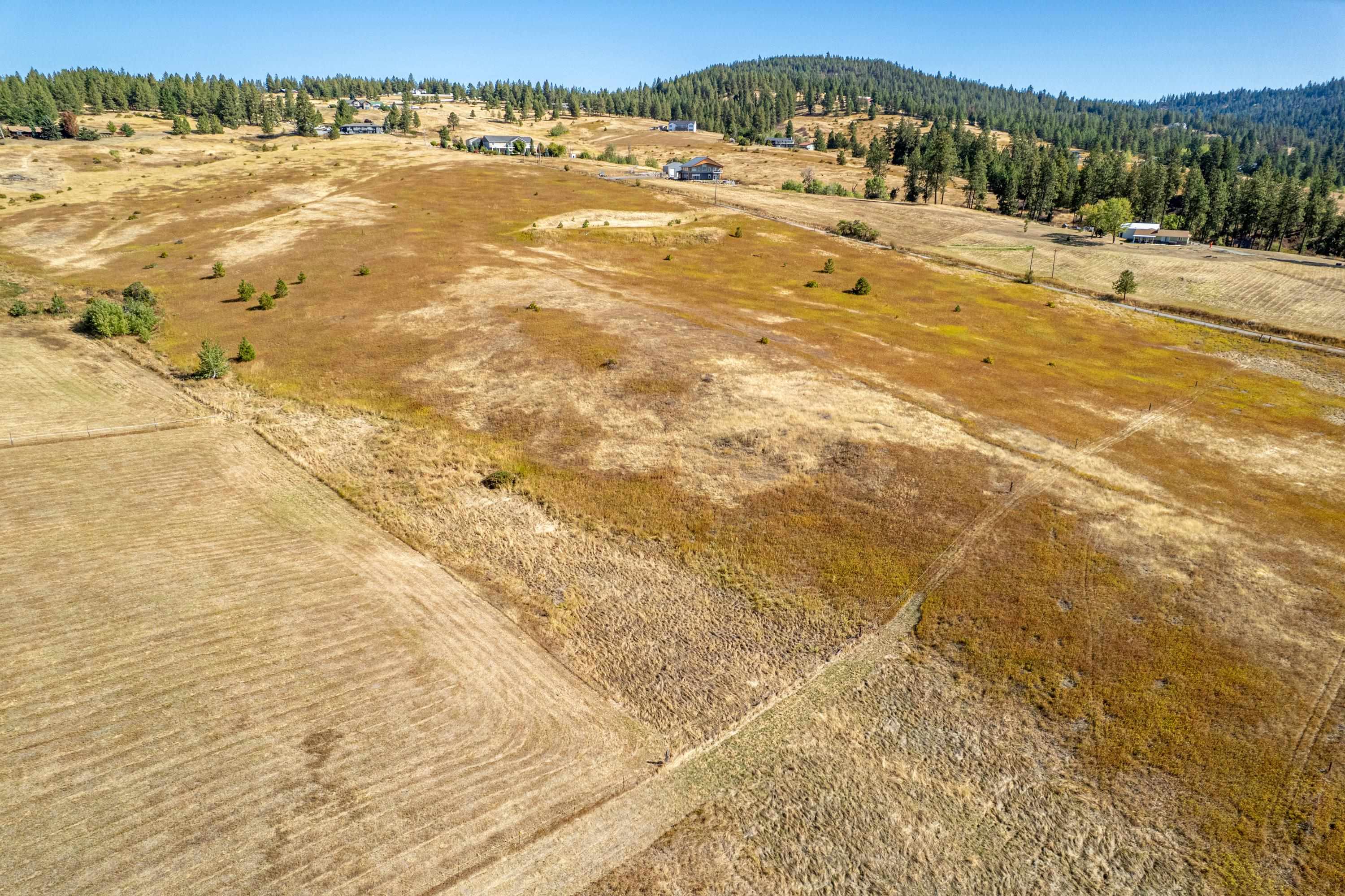 NKA Thunder Mountain Ln - Photo 11