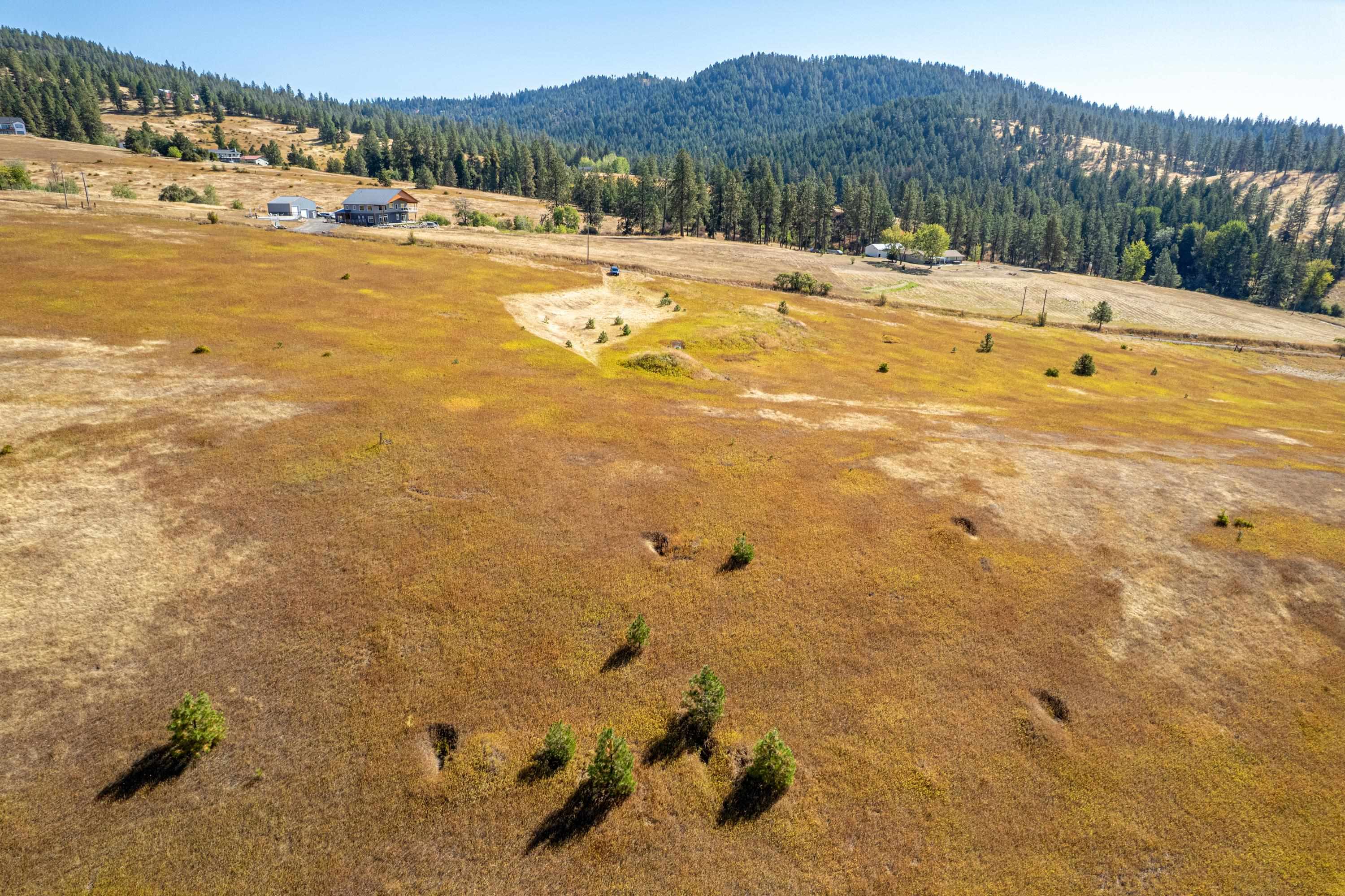 NKA Thunder Mountain Ln - Photo 10