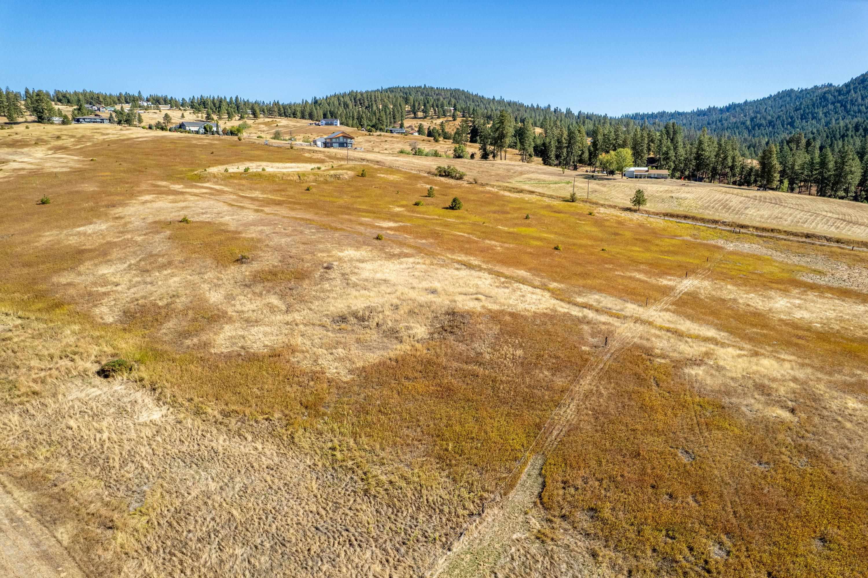 NKA Thunder Mountain Ln - Photo 13