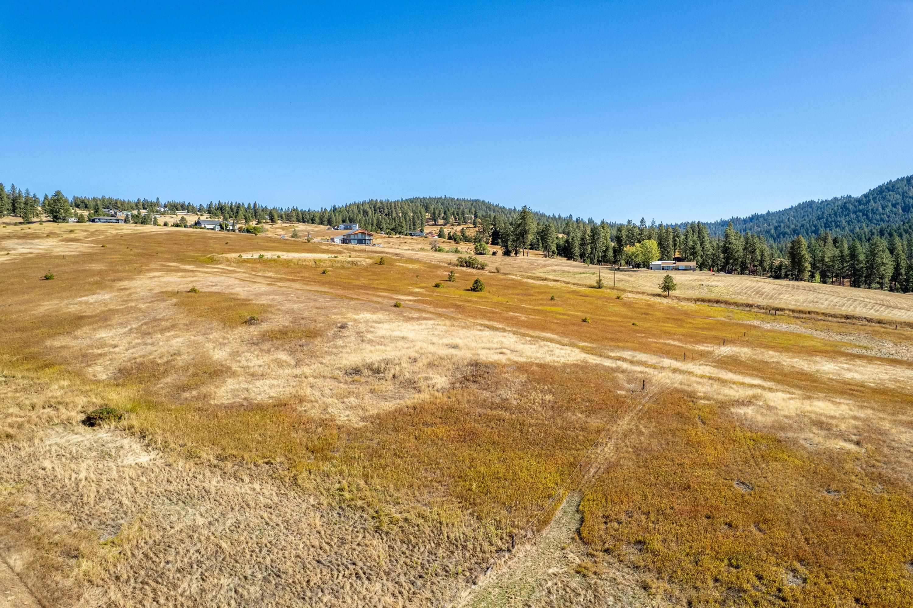 NKA Thunder Mountain Ln - Photo 14