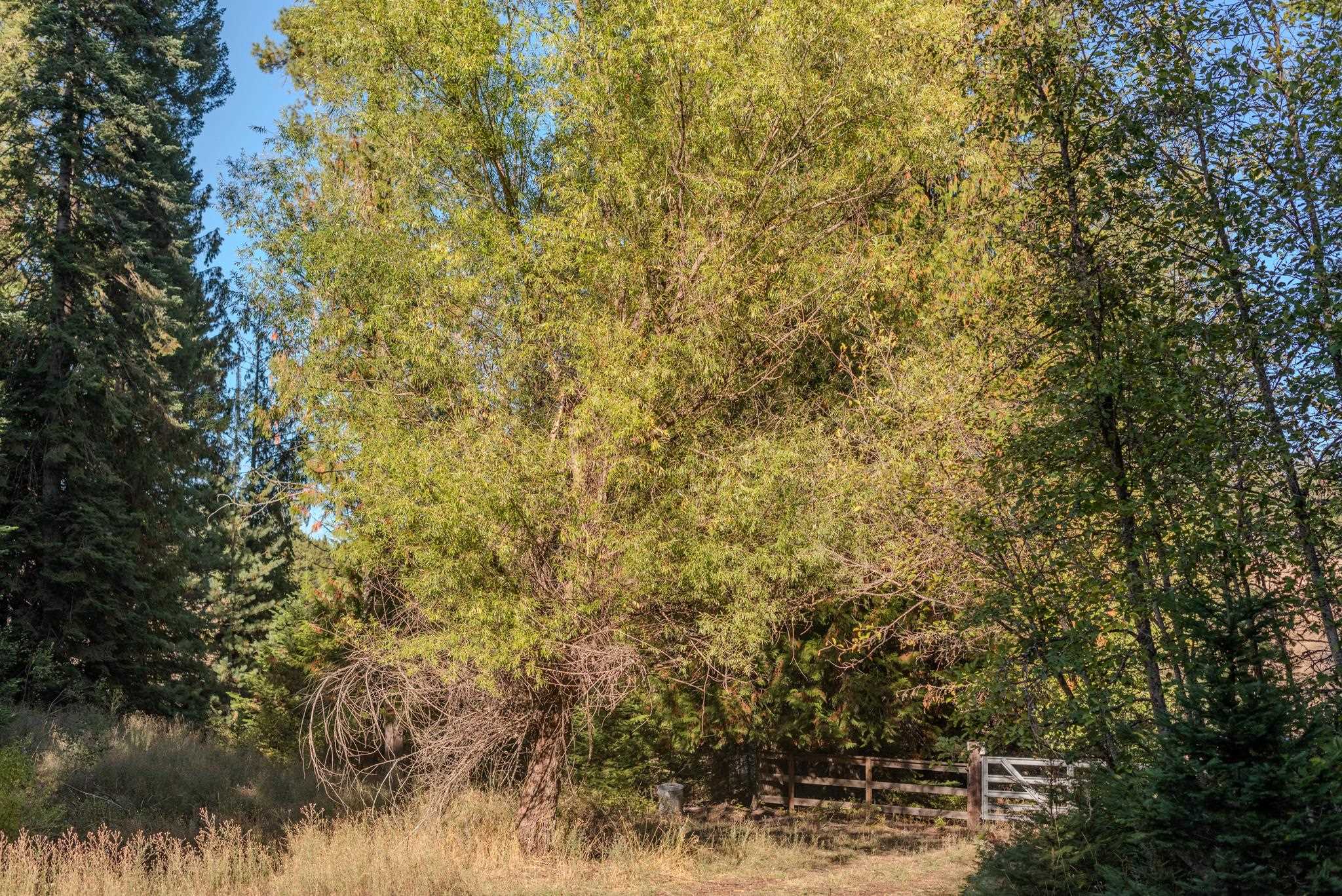 34221 N Dunn Rd - Photo 24