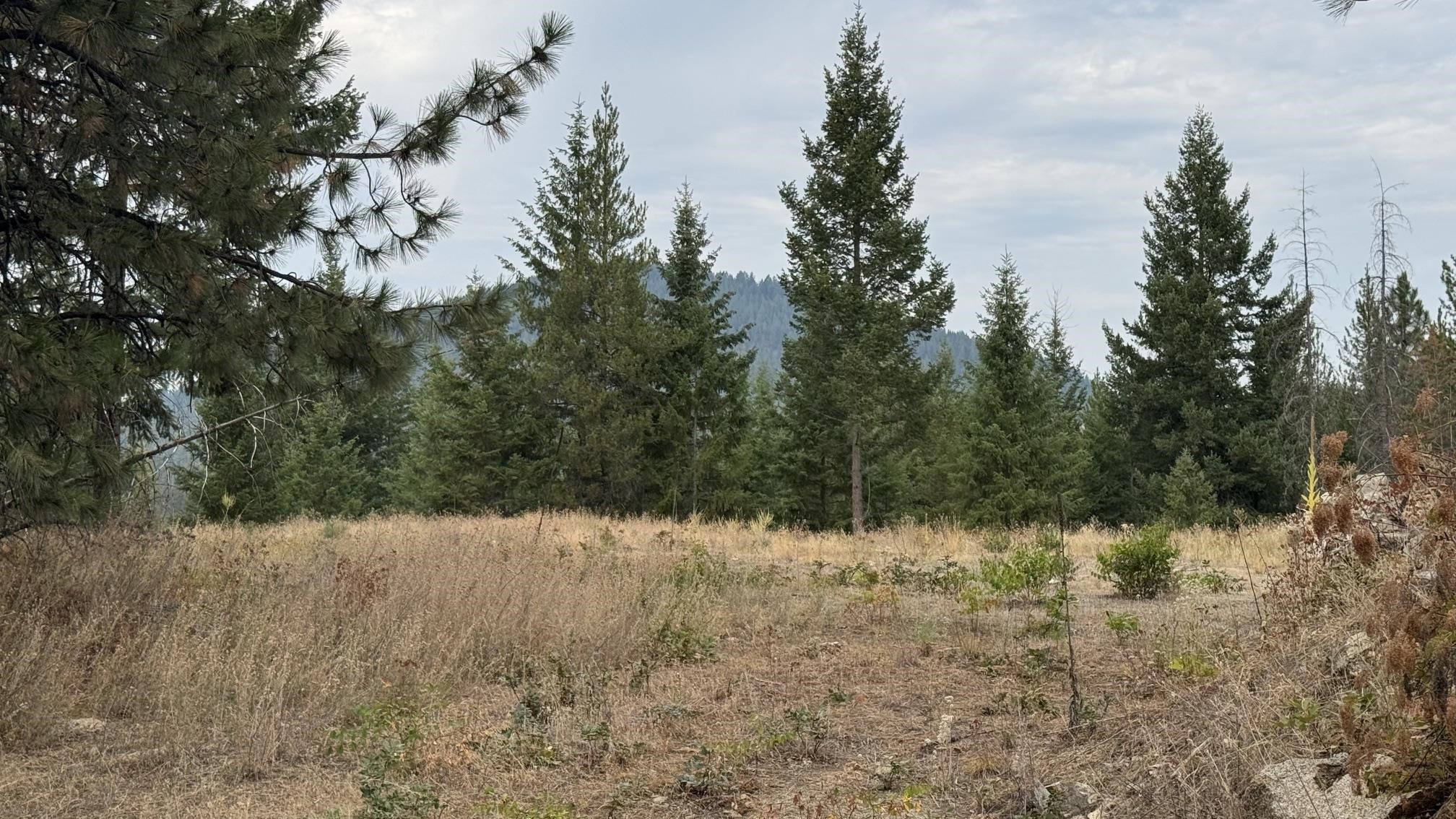 10313 Spring Valley Rd - Photo 17