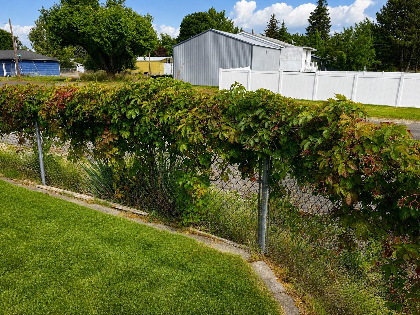 12703 E 8th Ave - Photo 42