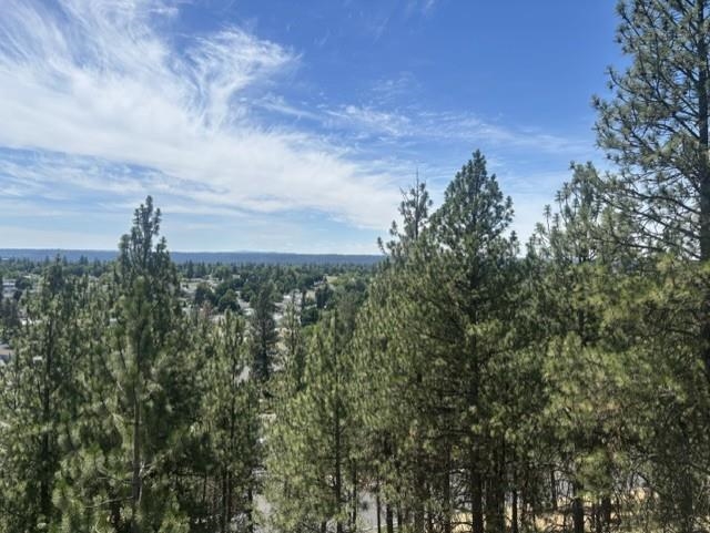 1823 W Northridge Ct - Photo 13