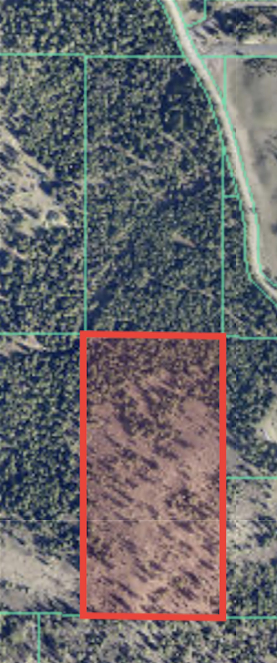 34221 N Dunn Rd - Photo 6