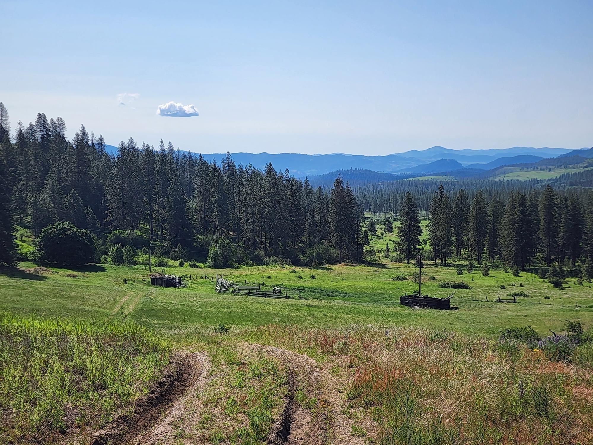 xxx Hall Creek Rd - Photo 1