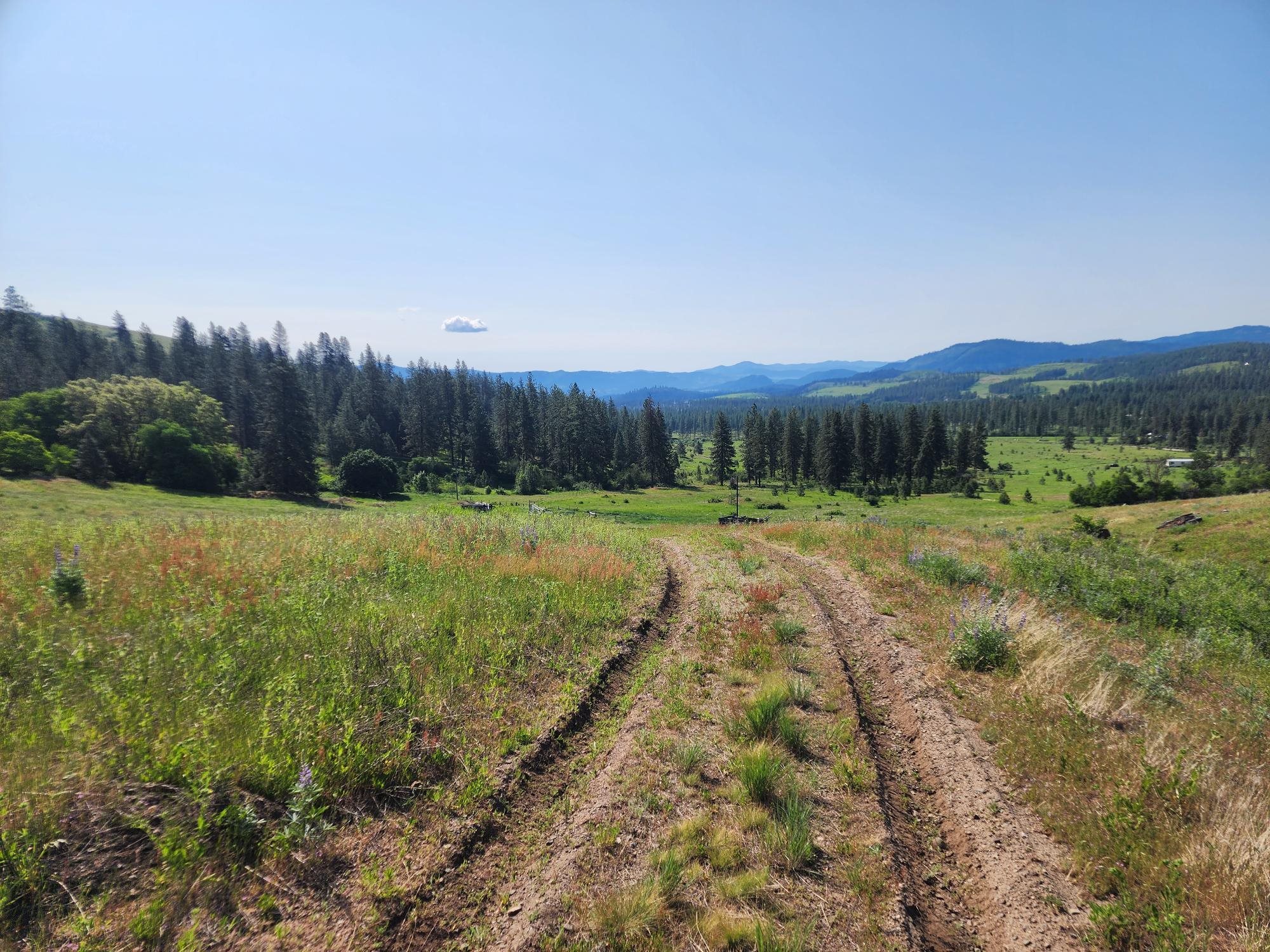 xxx Hall Creek Rd - Photo 5
