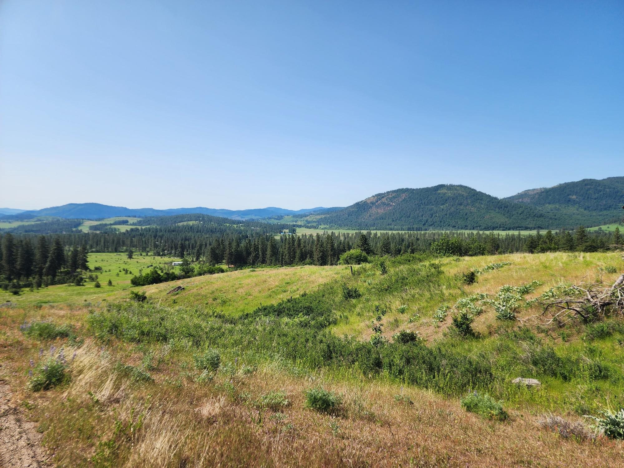 xxx Hall Creek Rd - Photo 6