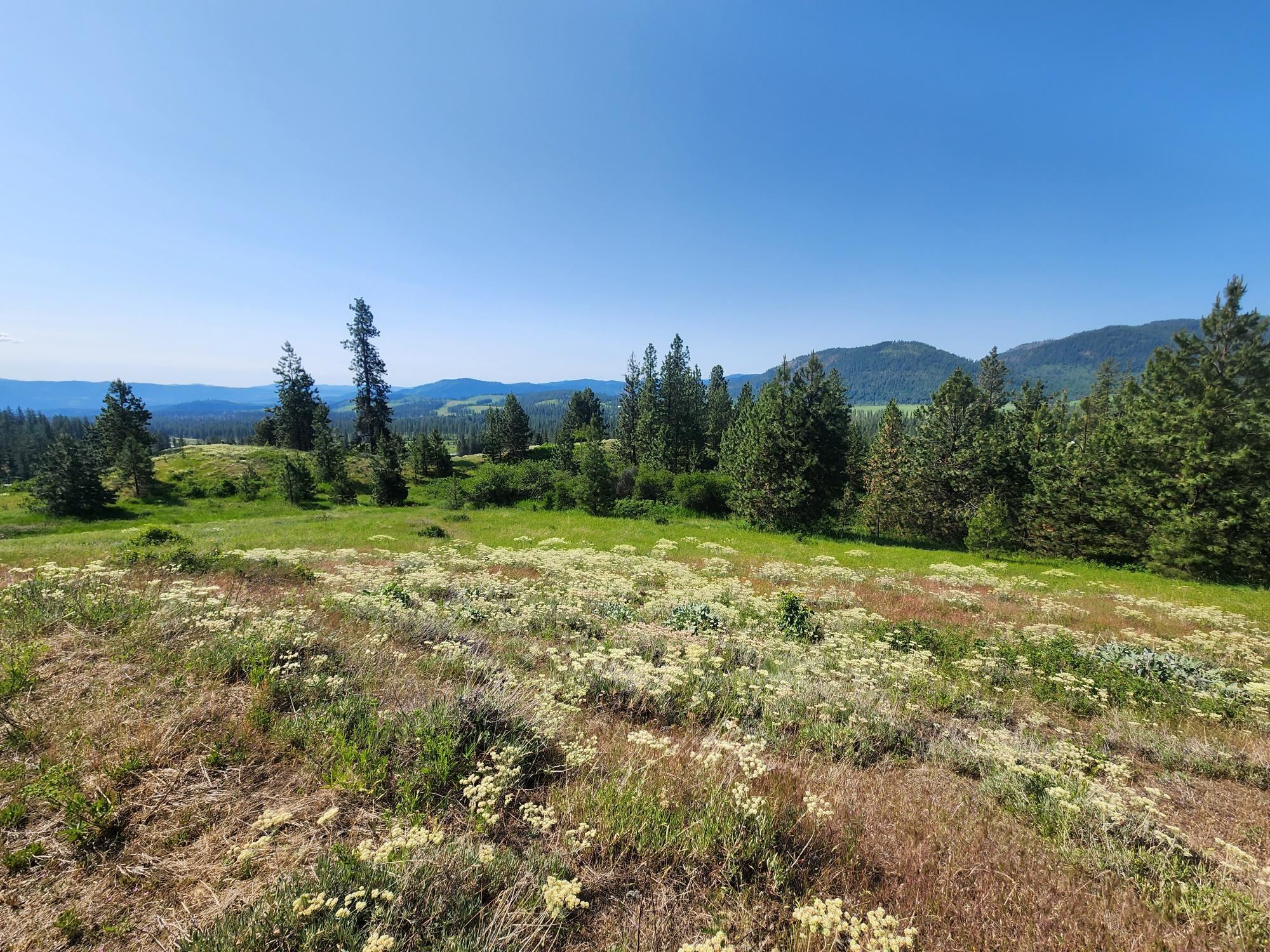 xxx Hall Creek Rd - Photo 7