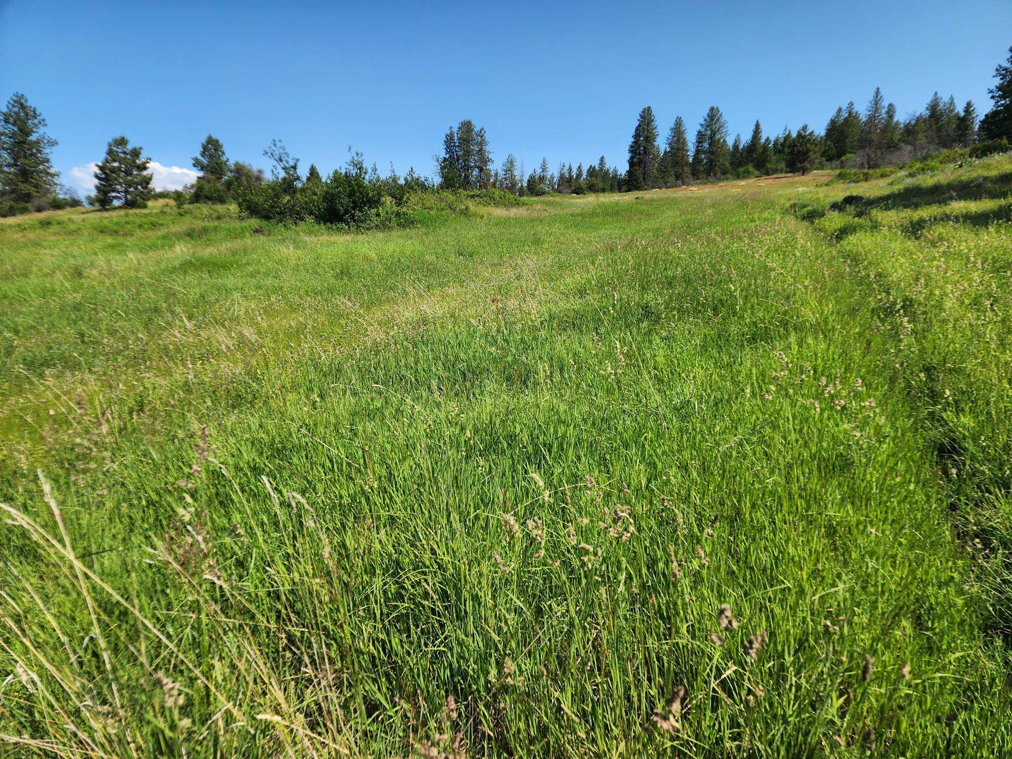 xxx Hall Creek Rd - Photo 8