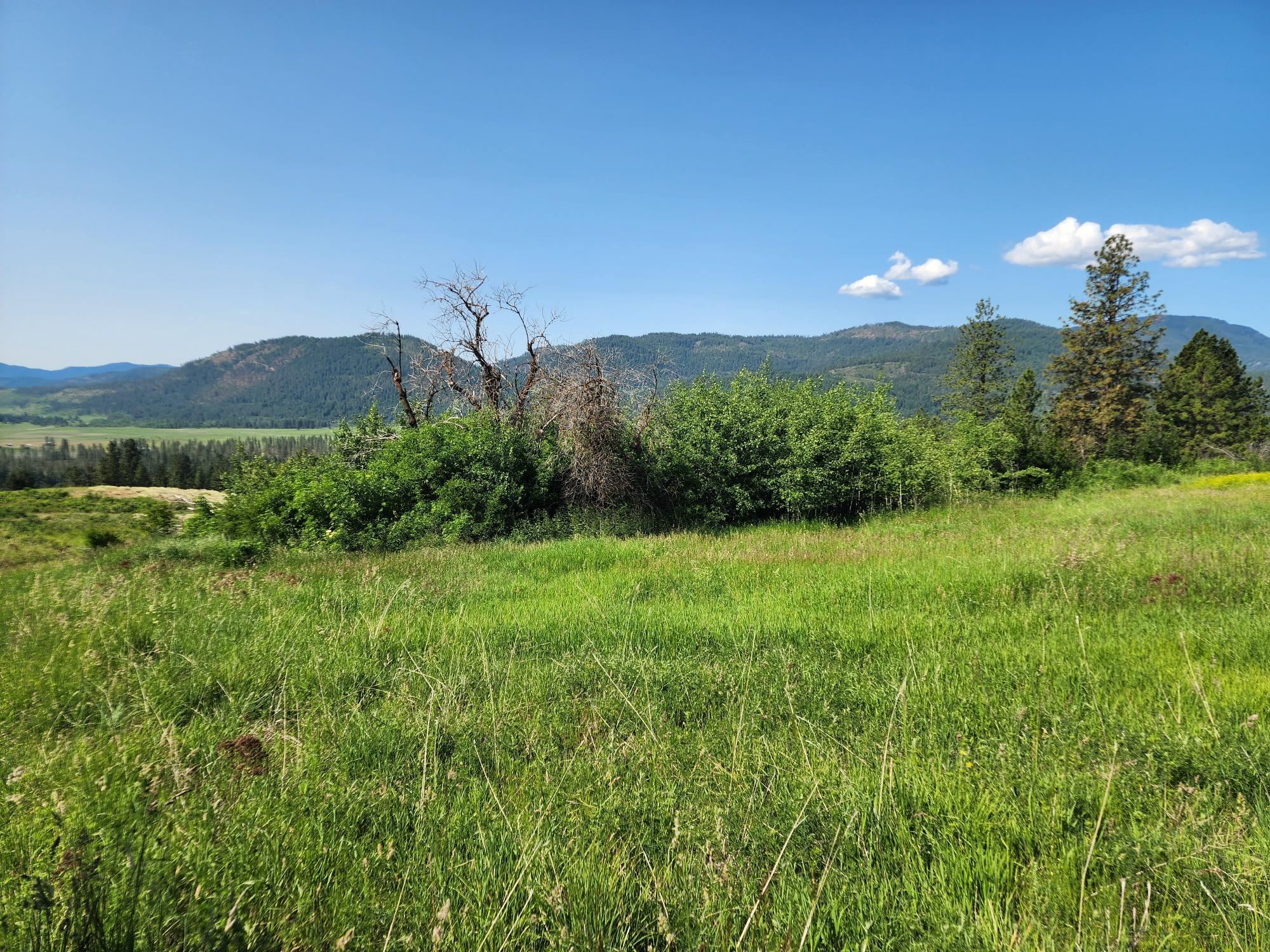 xxx Hall Creek Rd - Photo 9