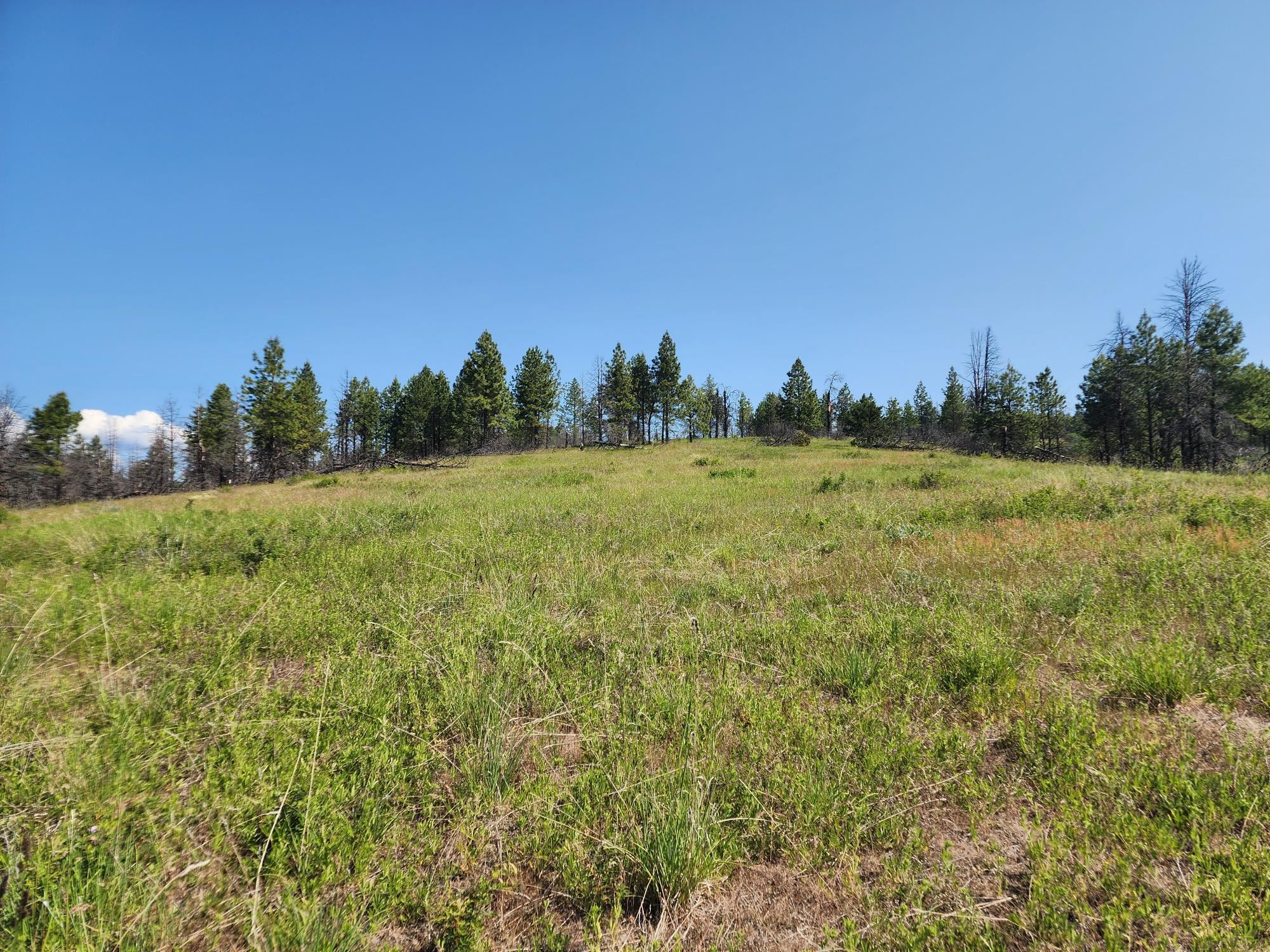 xxx Hall Creek Rd - Photo 10